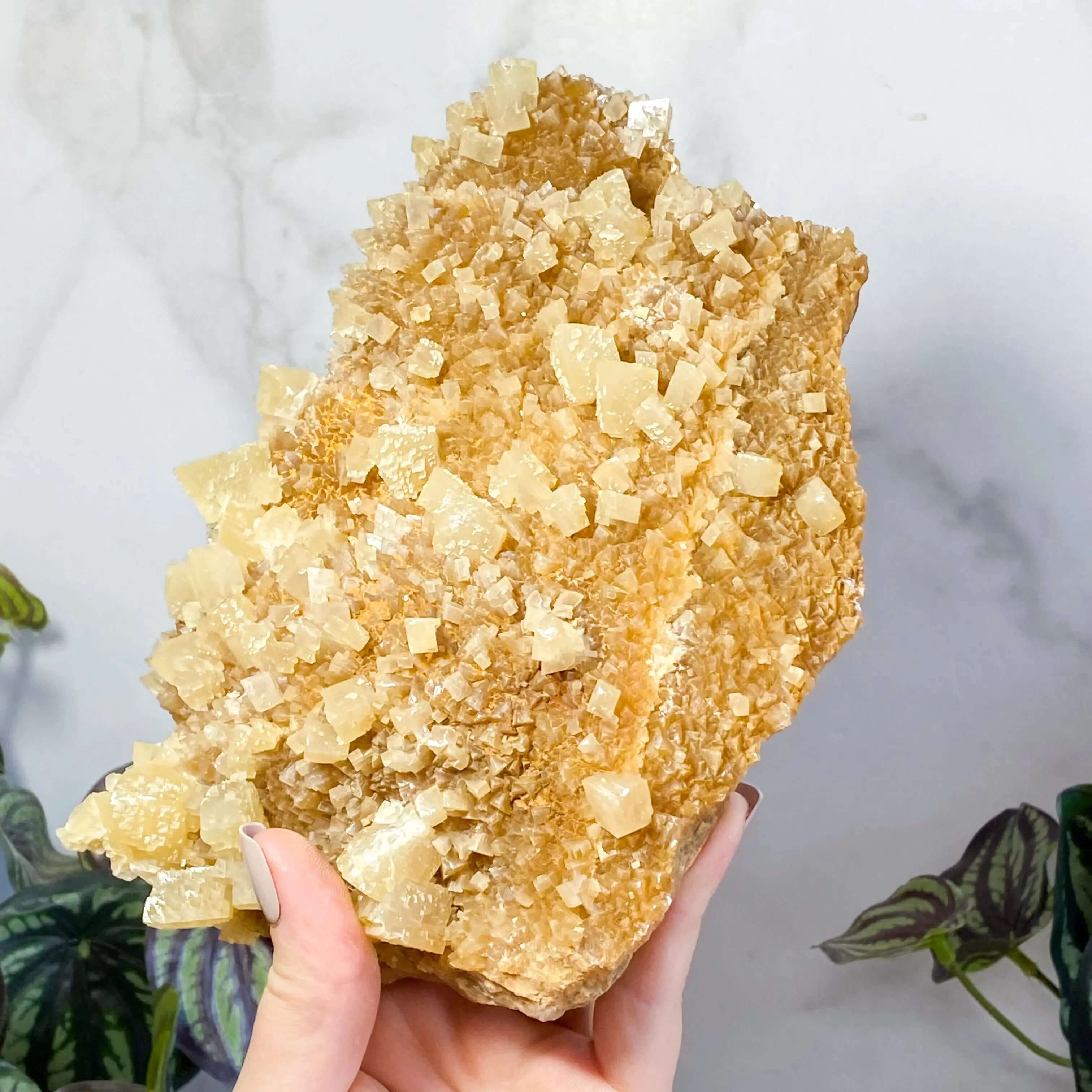 South Dakota Calcite | Stock B Mooncat Crystals