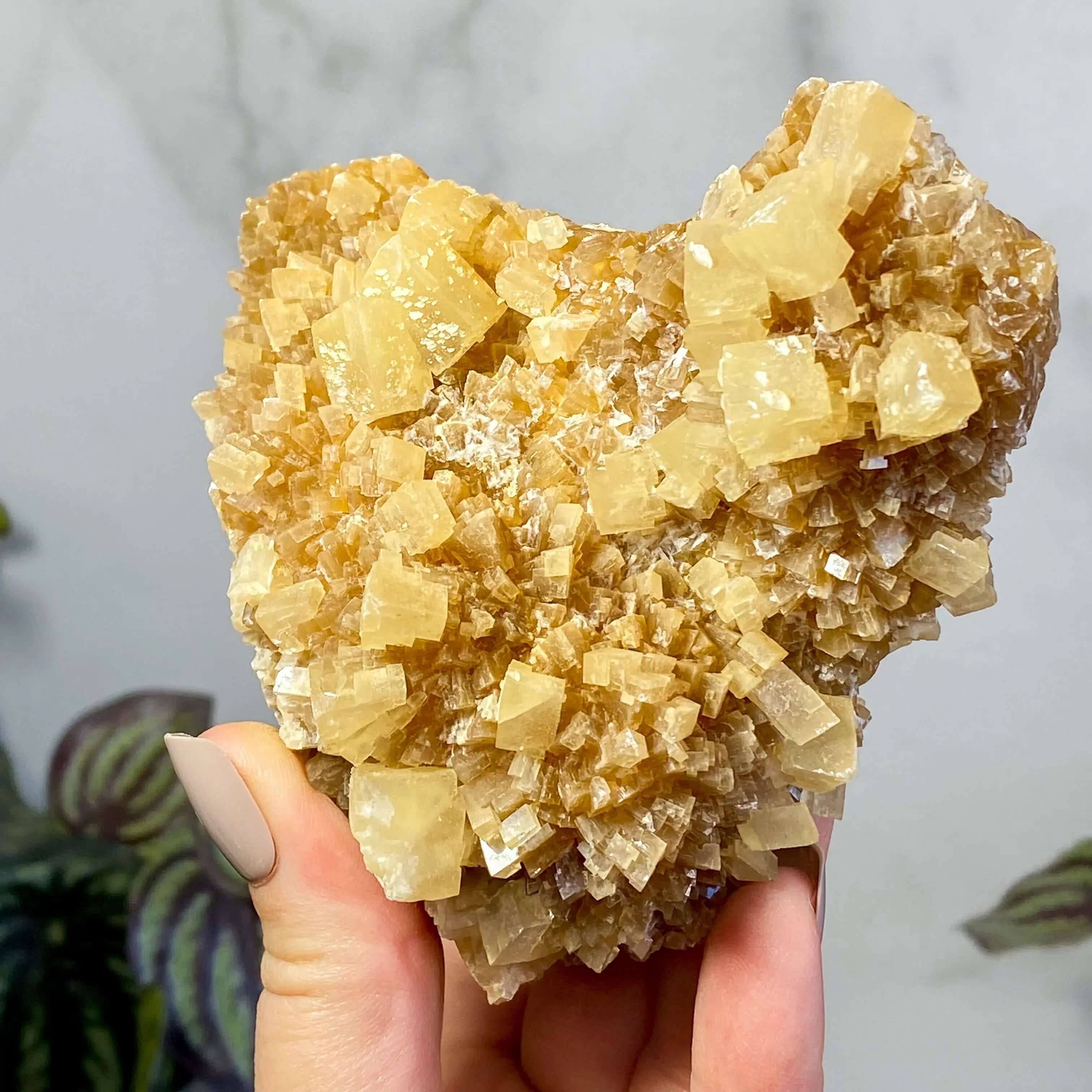 South Dakota Calcite | Stock C Mooncat Crystals