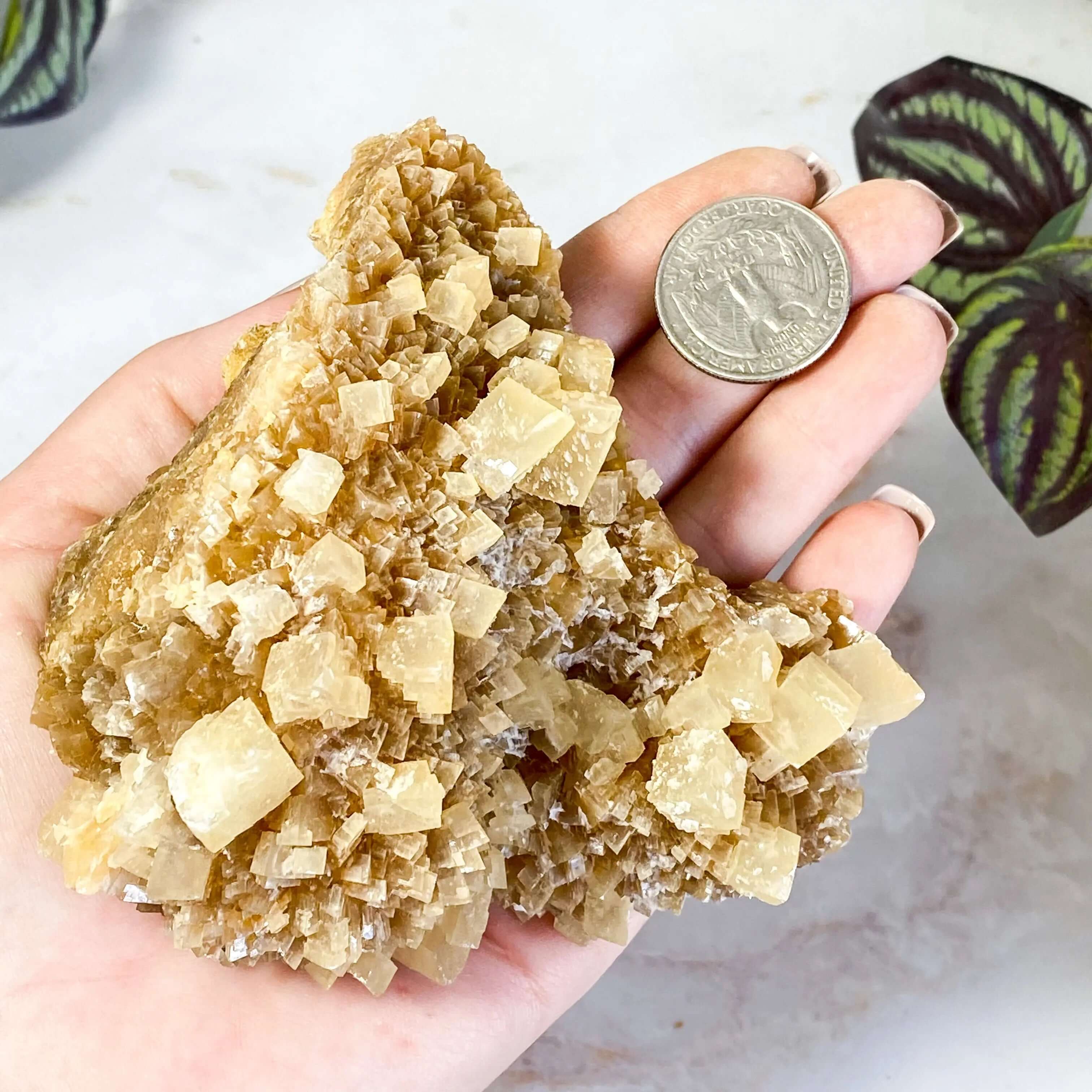 South Dakota Calcite | Stock C Mooncat Crystals