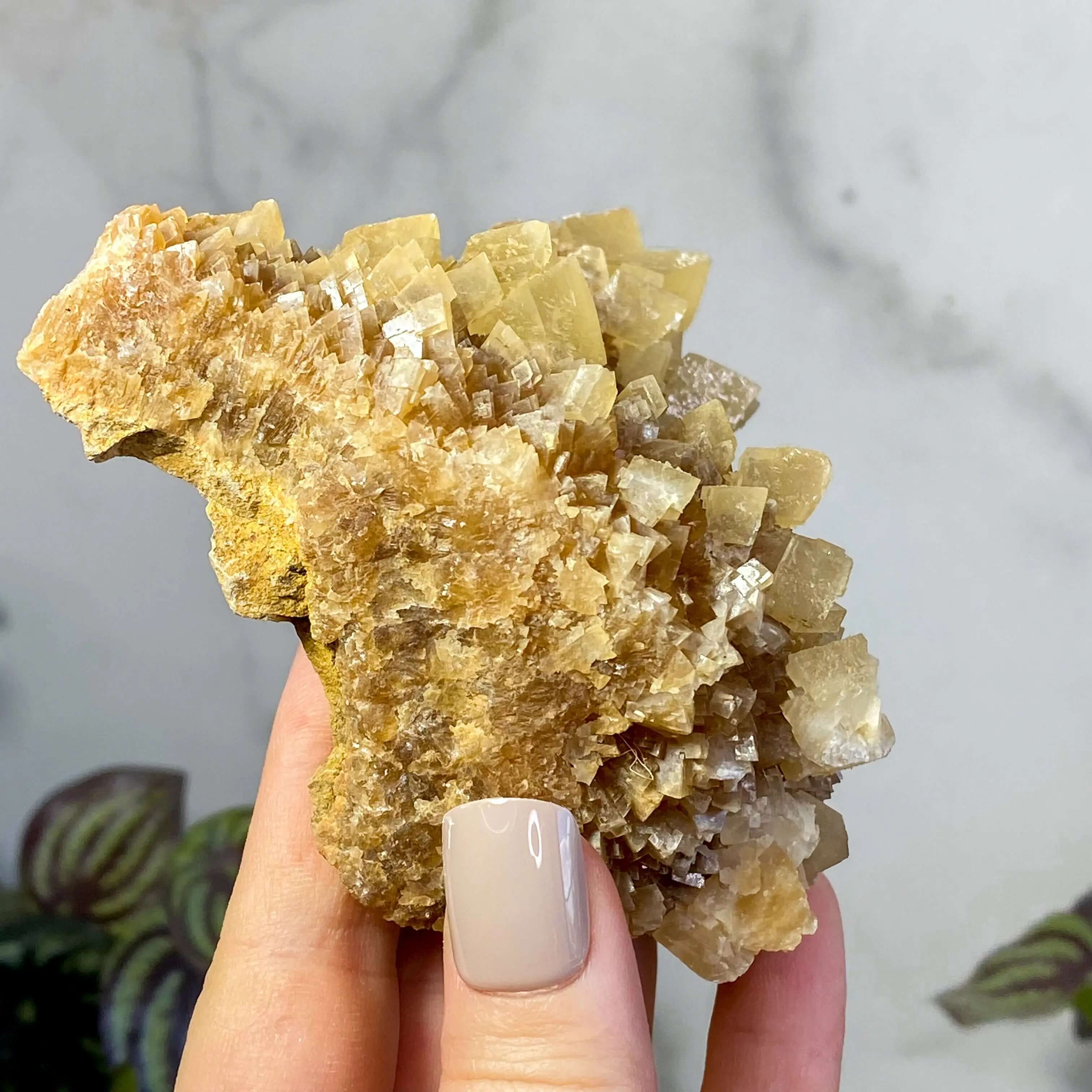 South Dakota Calcite | Stock C Mooncat Crystals