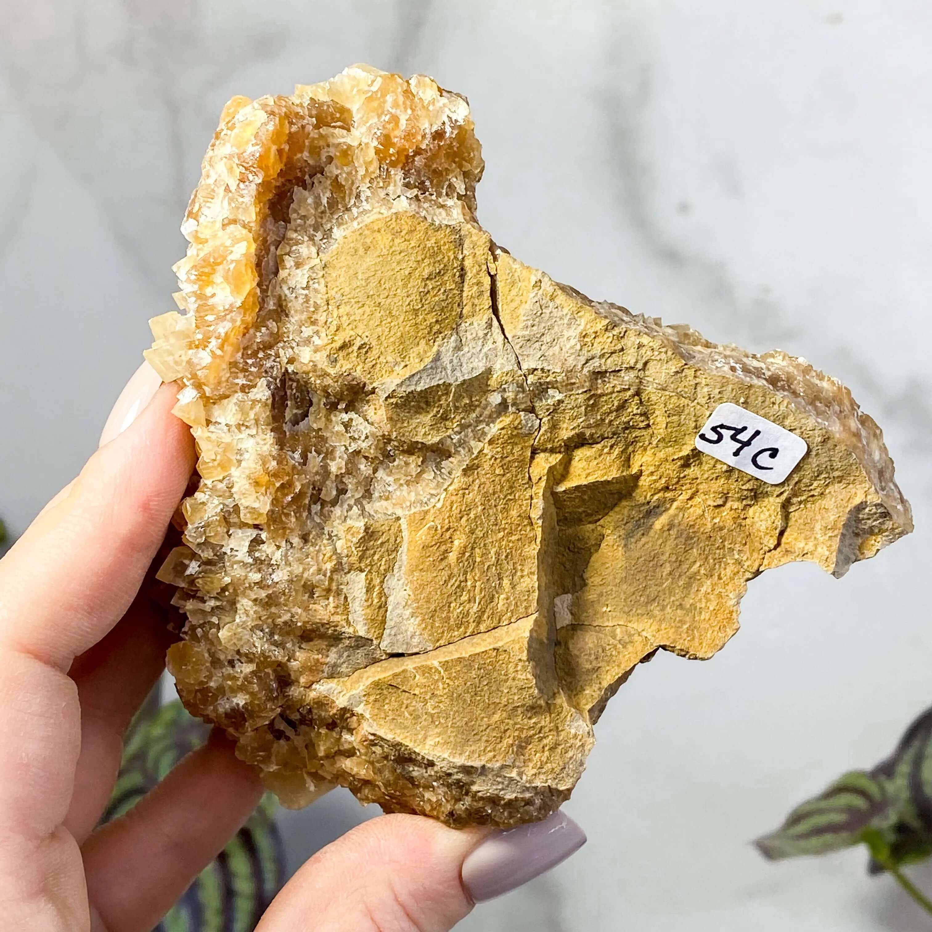 South Dakota Calcite | Stock C Mooncat Crystals
