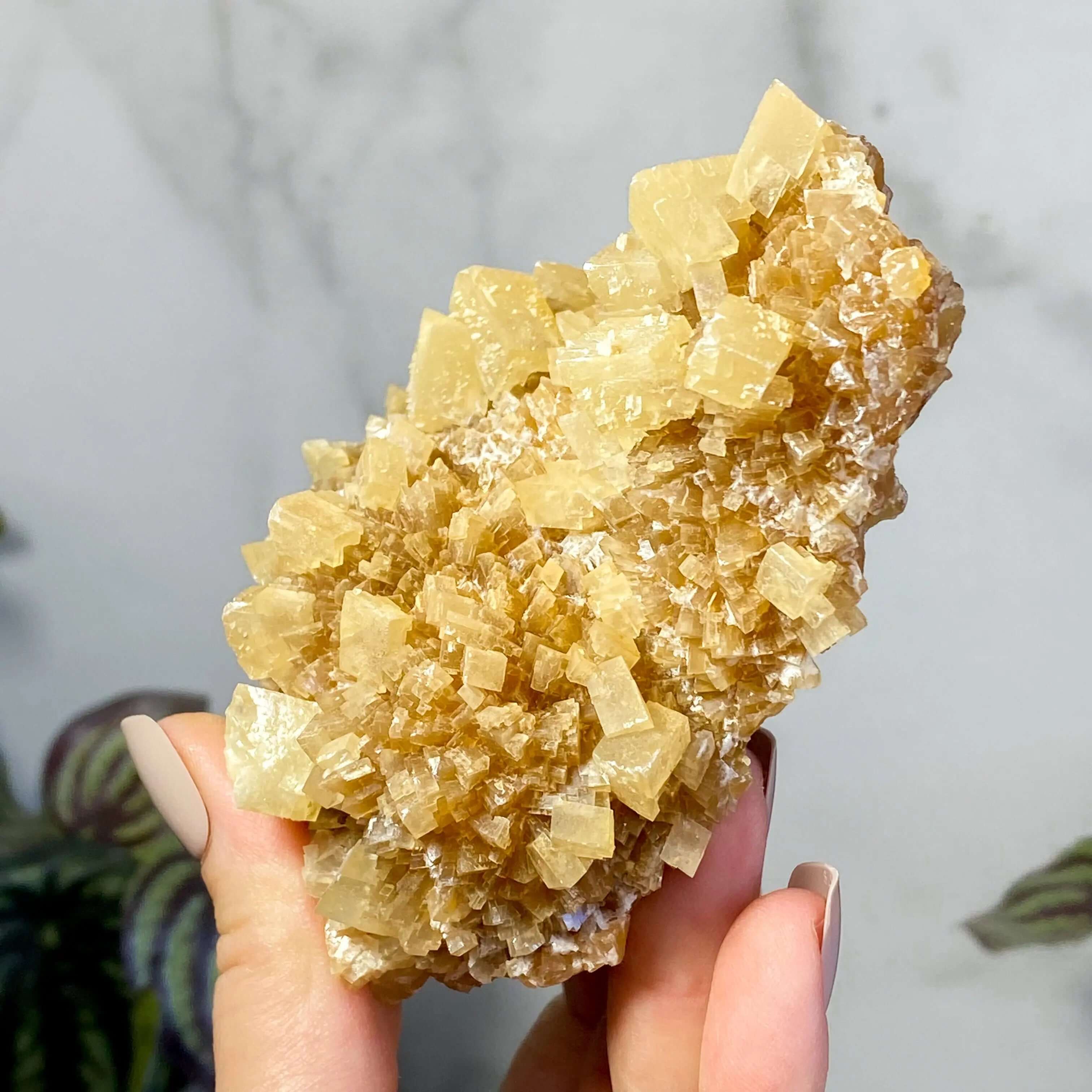 South Dakota Calcite | Stock C Mooncat Crystals
