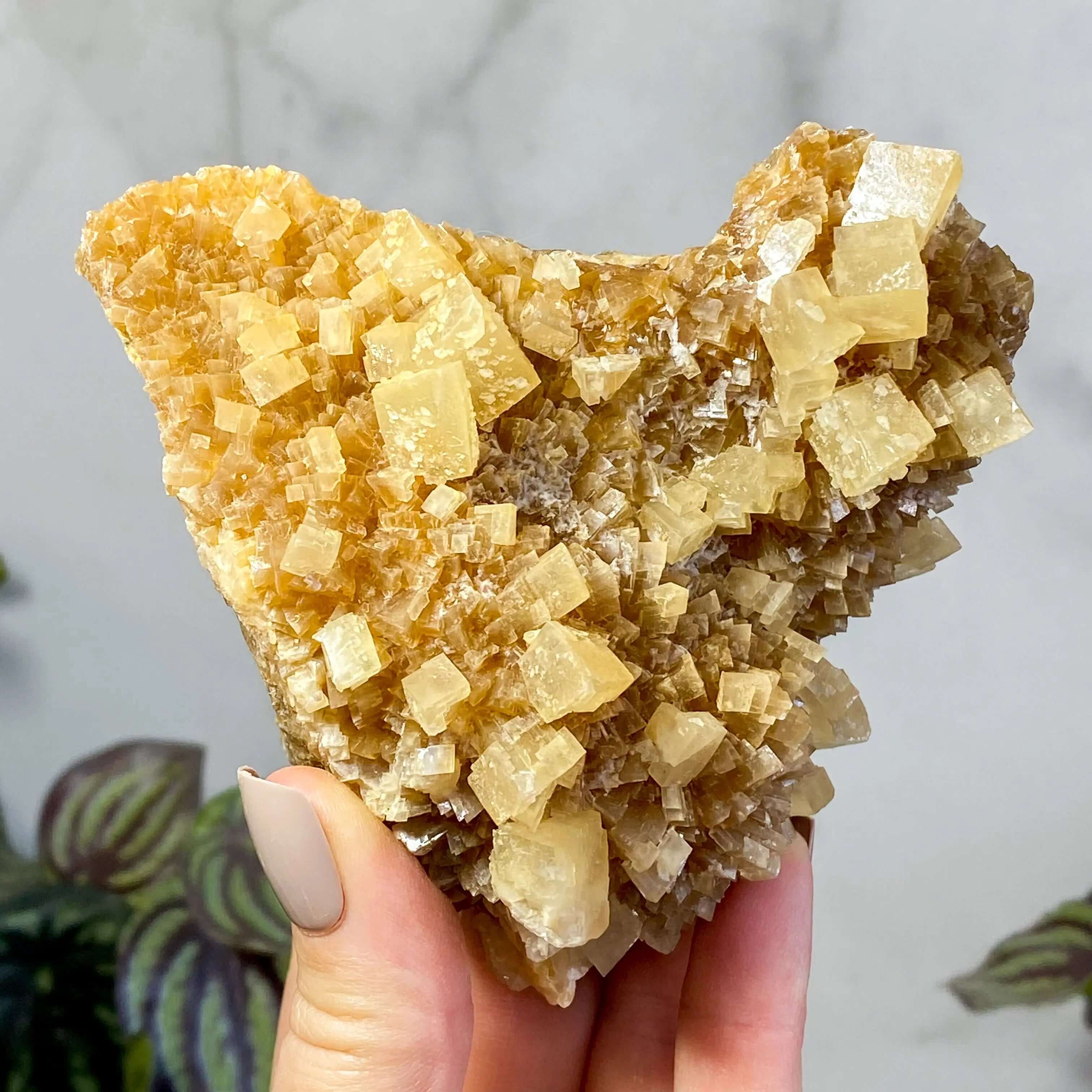 South Dakota Calcite | Stock C Mooncat Crystals