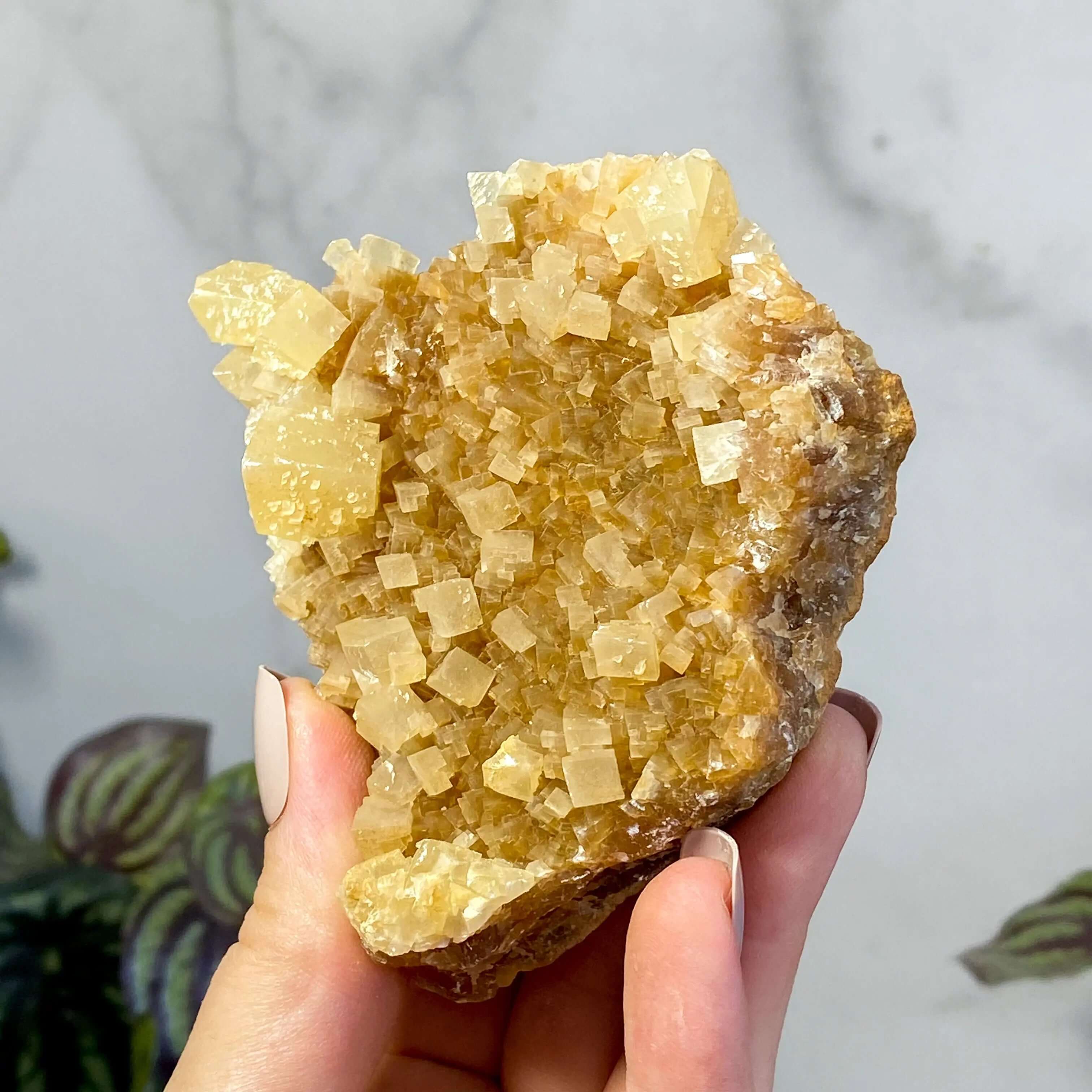 South Dakota Calcite | Stock D Mooncat Crystals