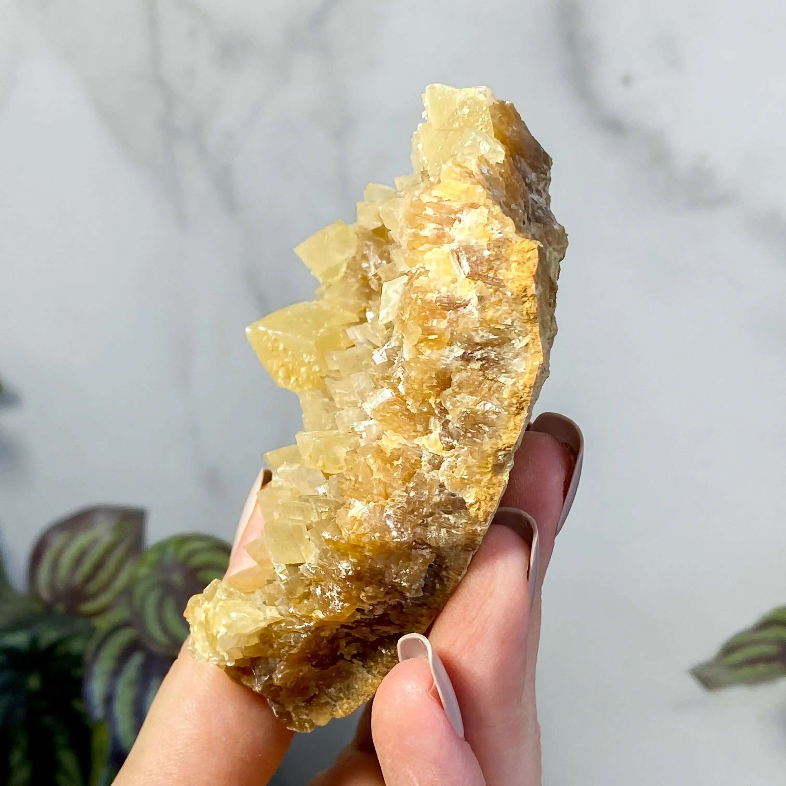 South Dakota Calcite | Stock D Mooncat Crystals