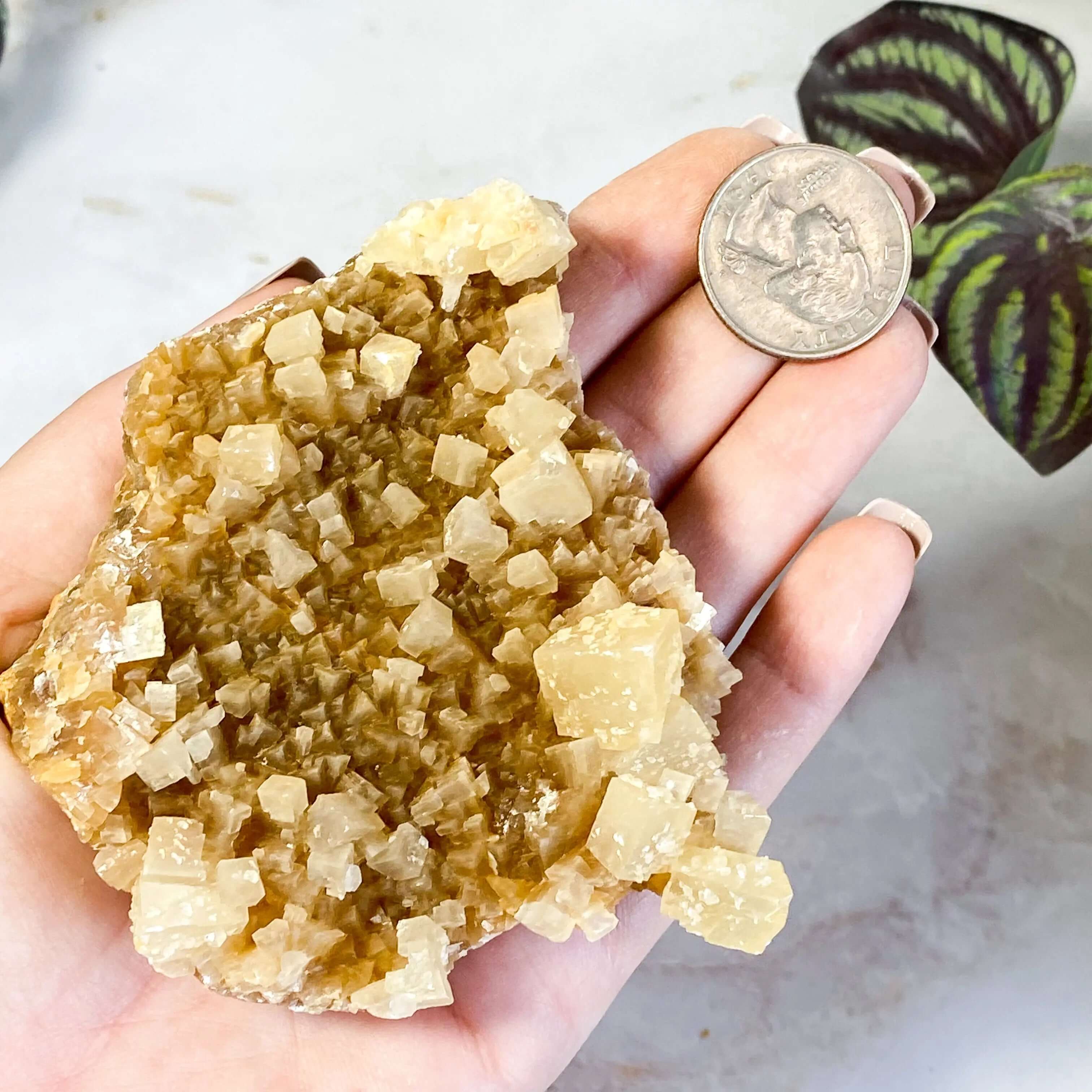 South Dakota Calcite | Stock D Mooncat Crystals