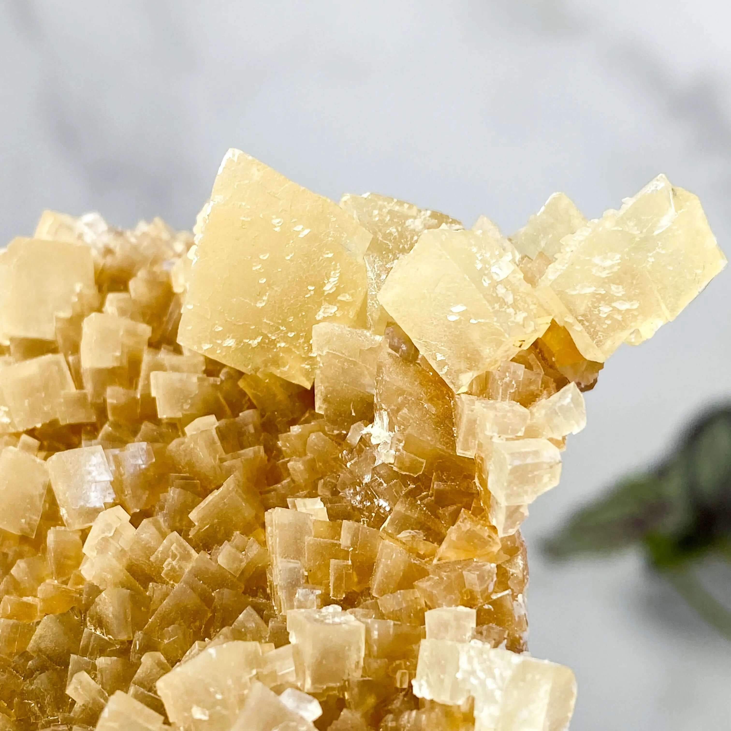 South Dakota Calcite | Stock D Mooncat Crystals