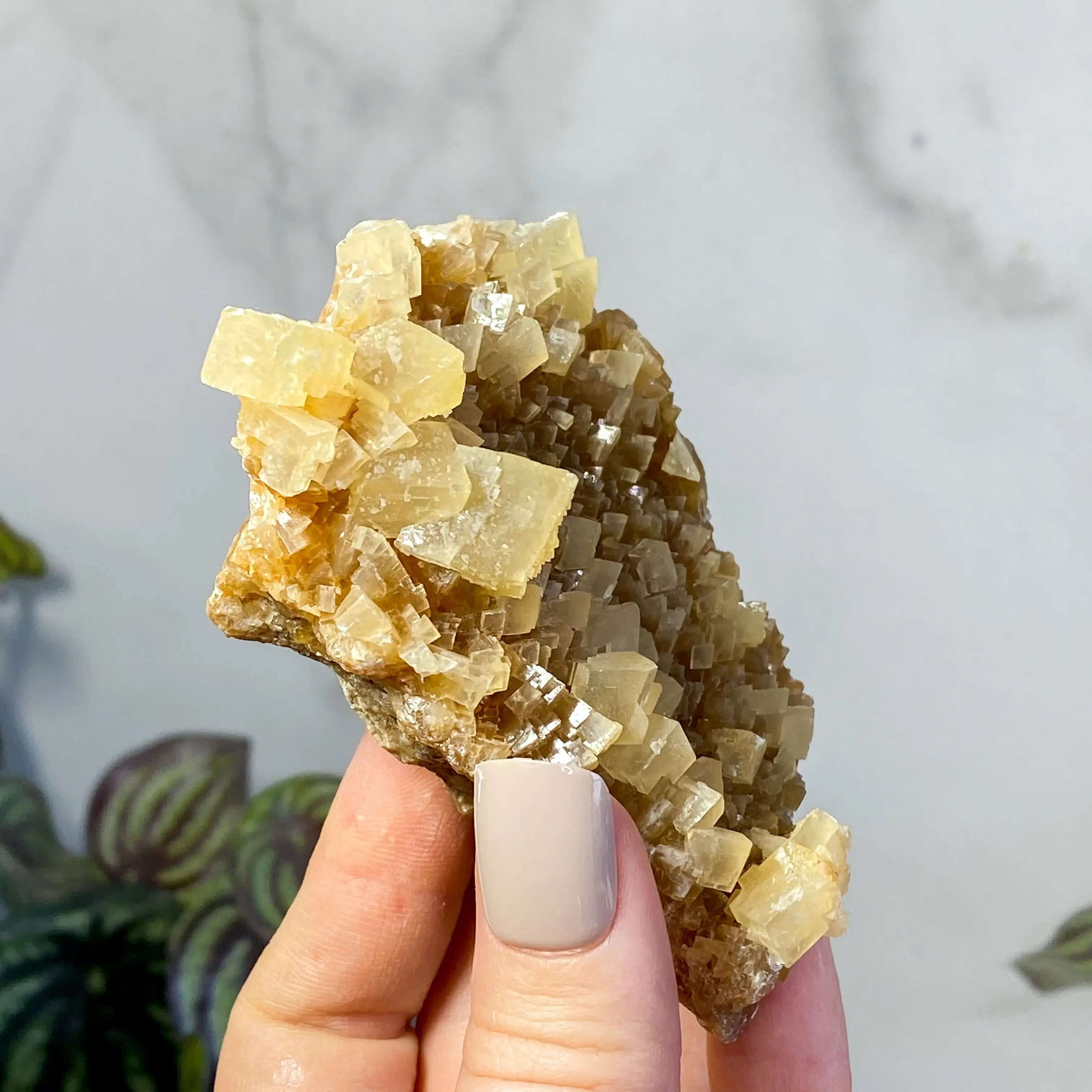 South Dakota Calcite | Stock D Mooncat Crystals