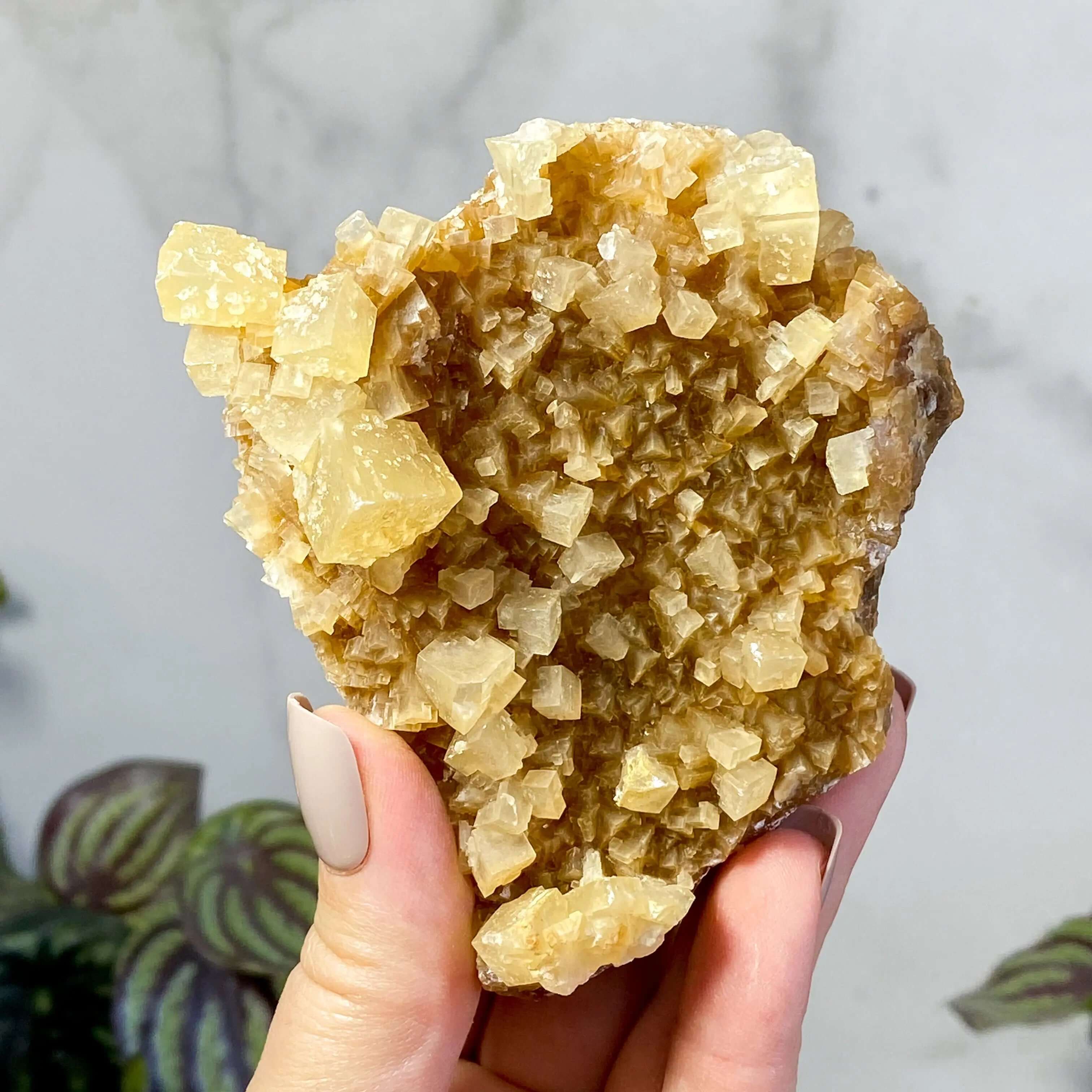 South Dakota Calcite | Stock D Mooncat Crystals