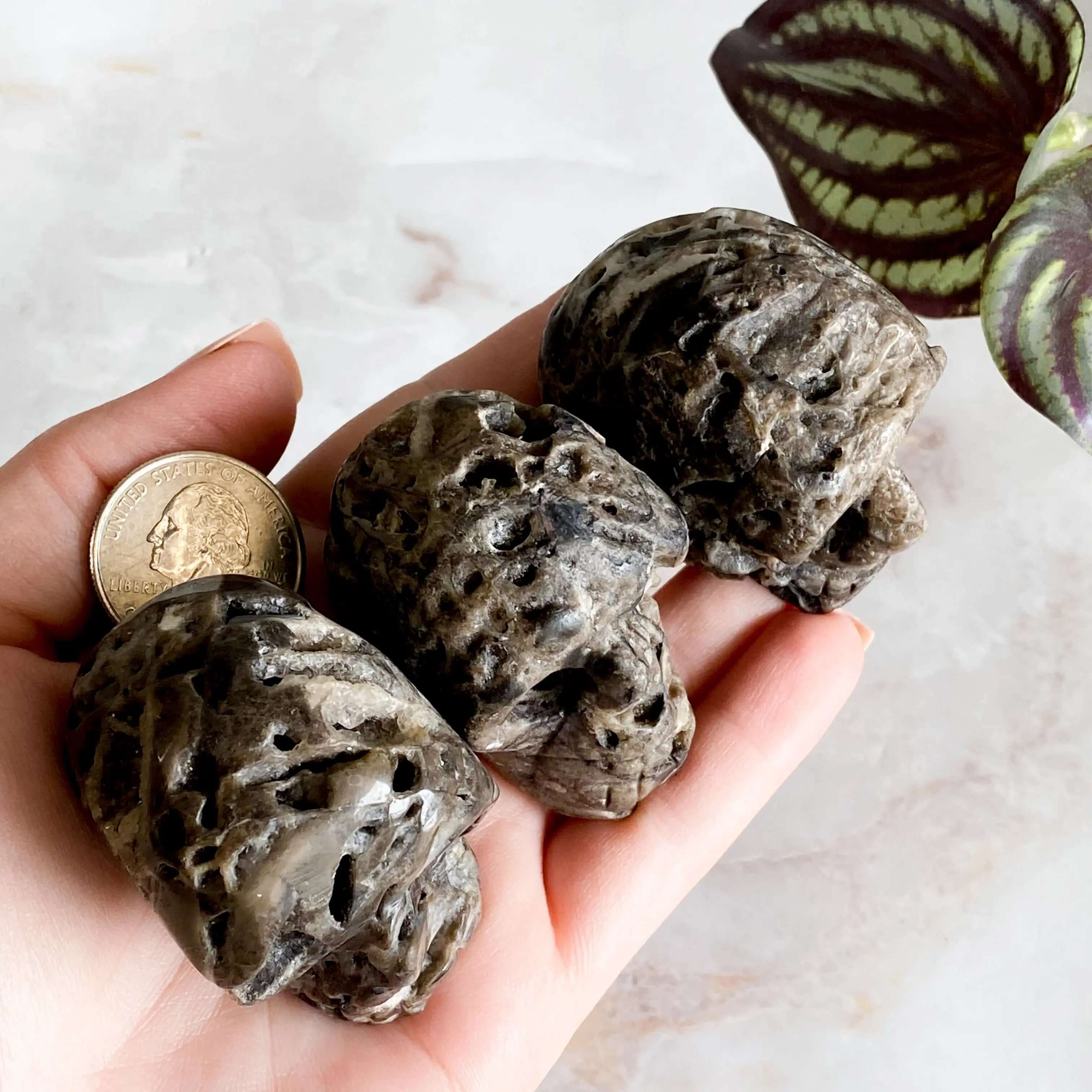 Sparkly Druzy Agate Skull | You Choose GHIJK Mooncat Crystals