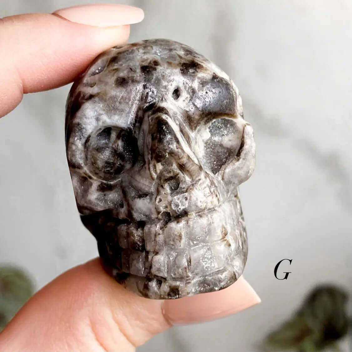 Sparkly Druzy Agate Skull | You Choose GHIJK Mooncat Crystals
