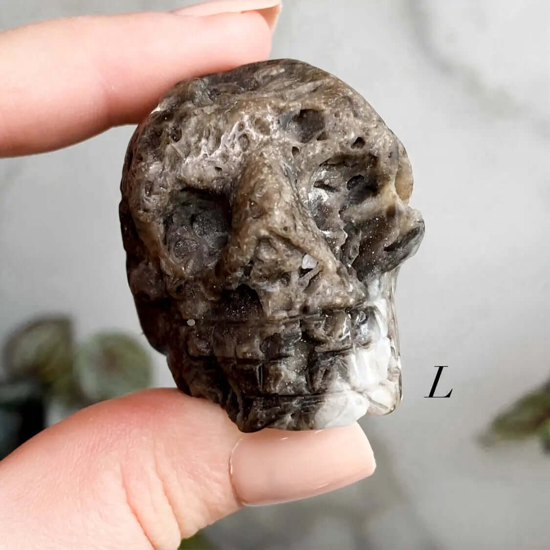 Sparkly Druzy Agate Skull | You Choose GHIJK Mooncat Crystals
