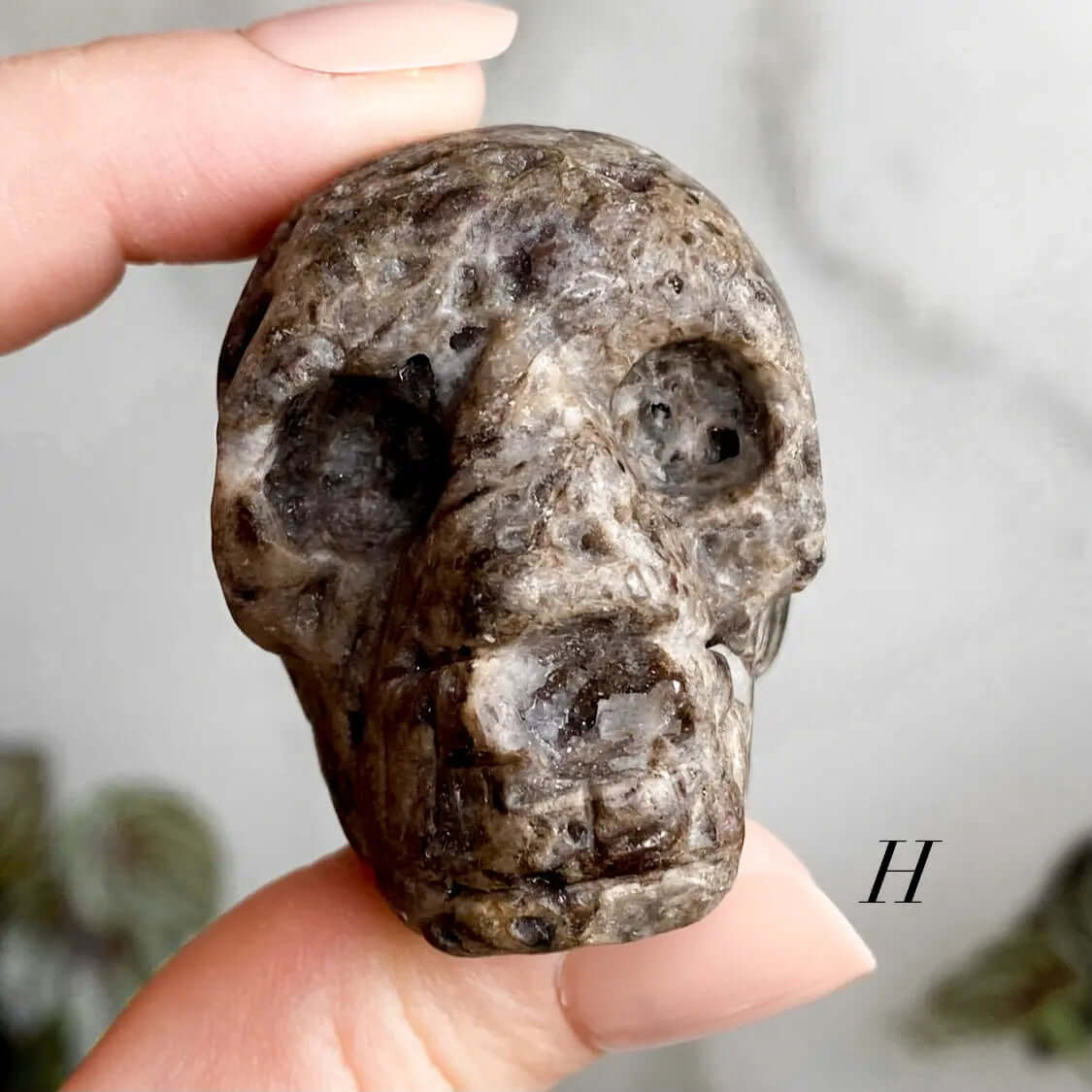Sparkly Druzy Agate Skull | You Choose GHIJK Mooncat Crystals