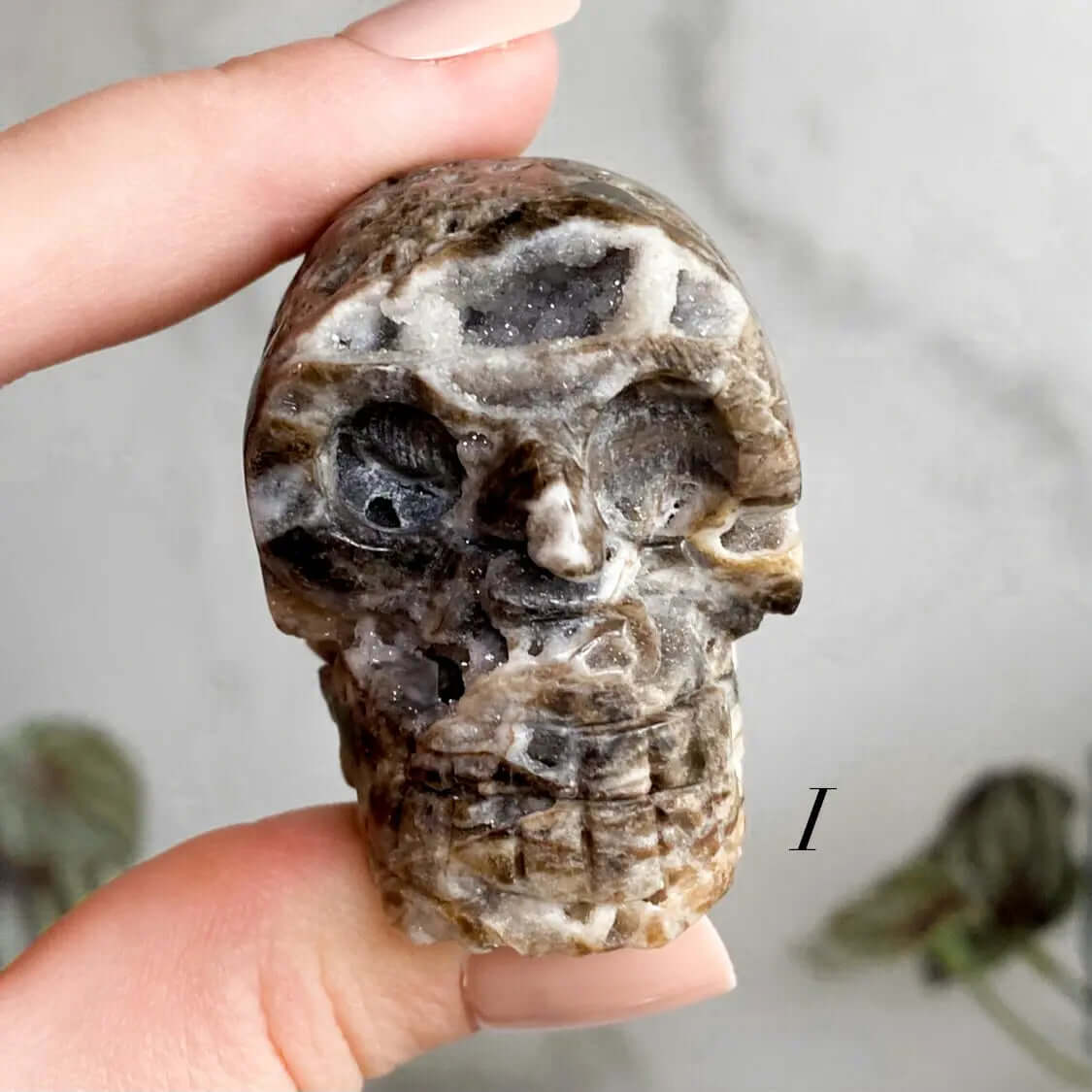 Sparkly Druzy Agate Skull | You Choose GHIJK Mooncat Crystals