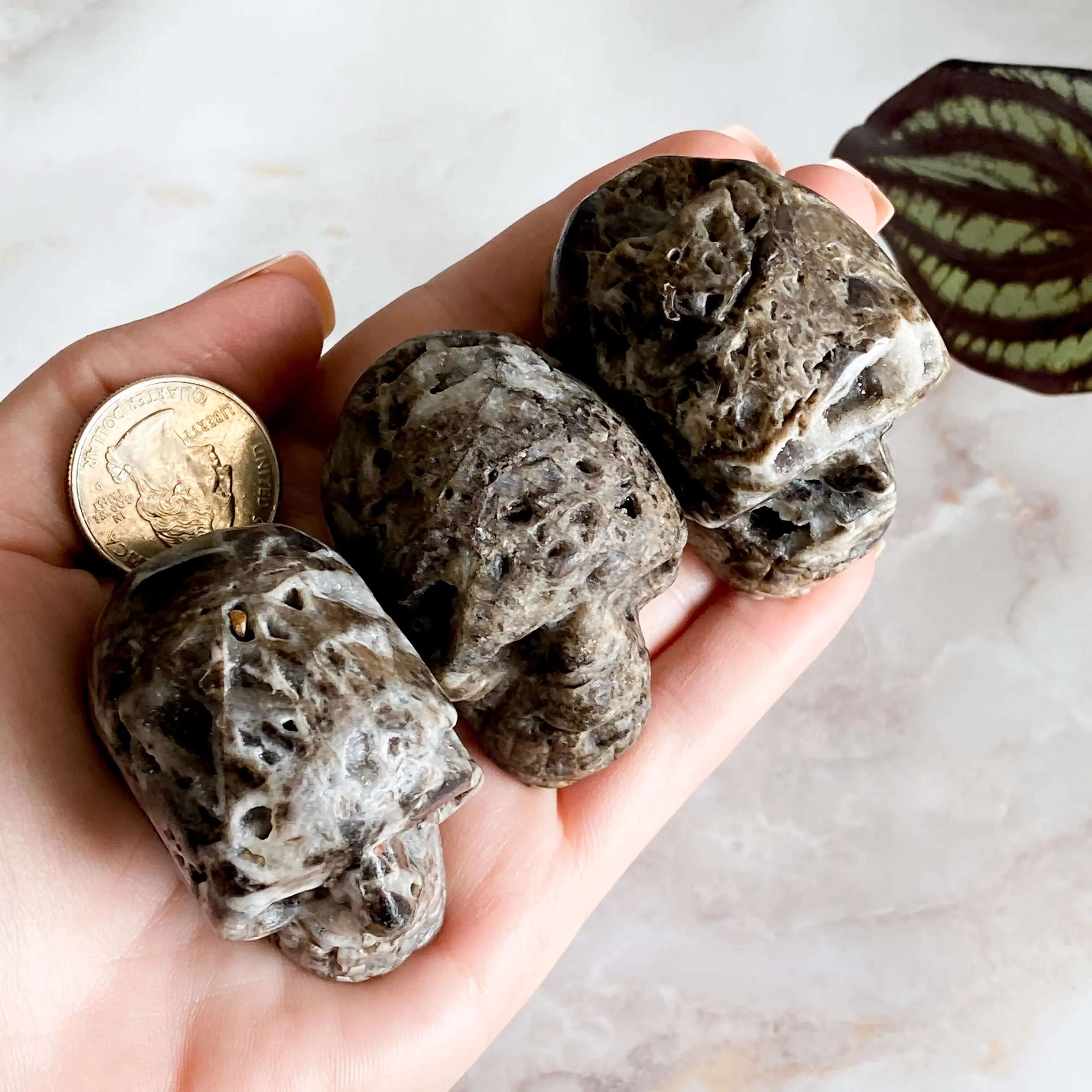 Sparkly Druzy Agate Skull | You Choose GHIJK Mooncat Crystals
