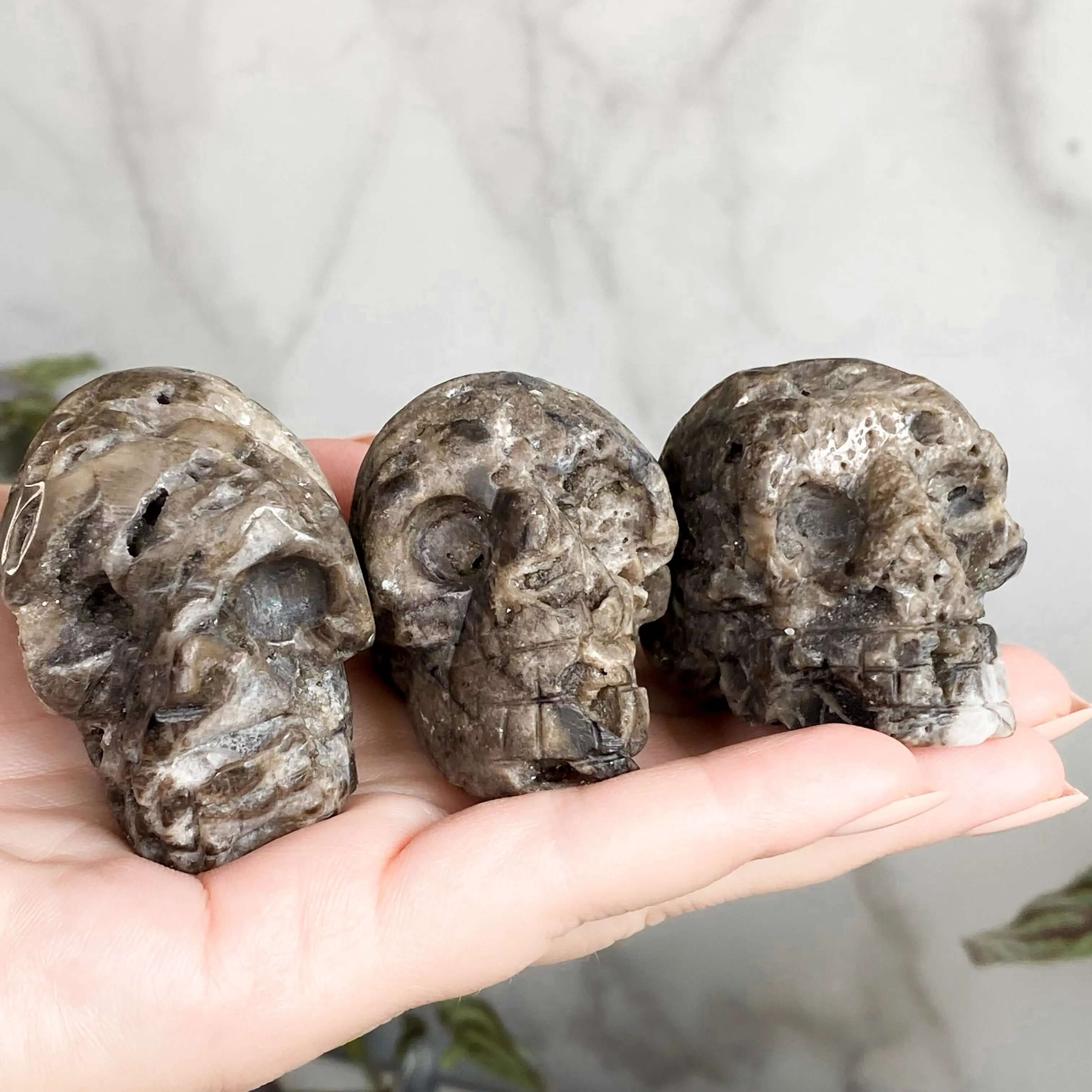 Sparkly Druzy Agate Skull | You Choose GHIJK Mooncat Crystals