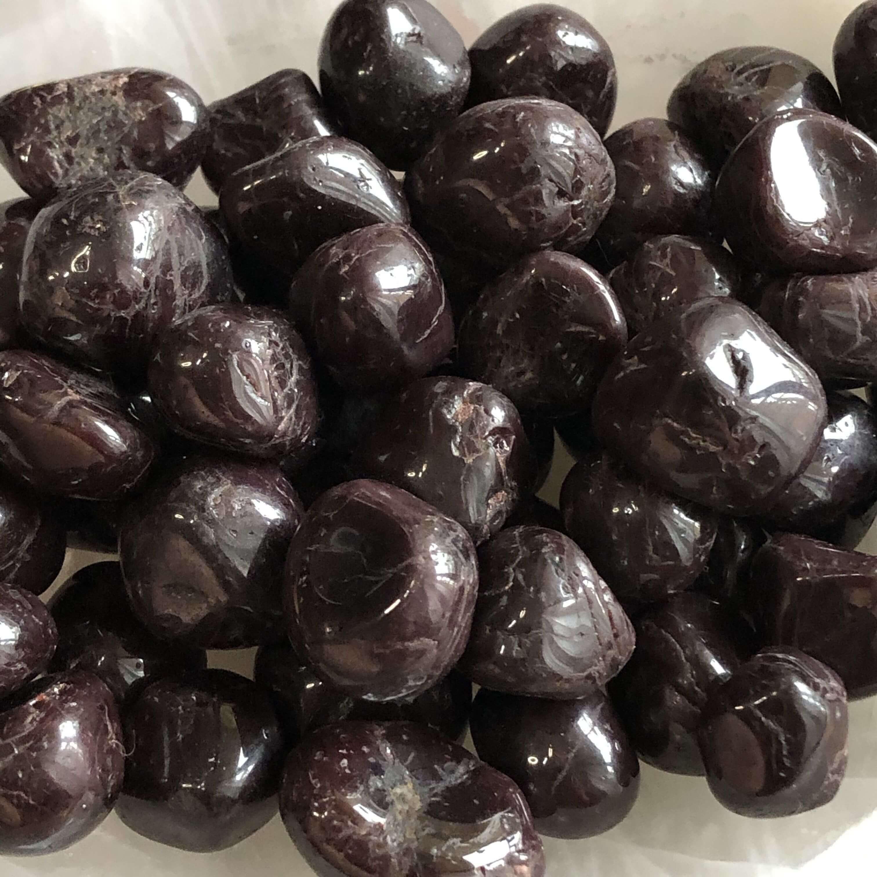 Star Garnet Tumbles | Set of 2 - Mooncat Crystals