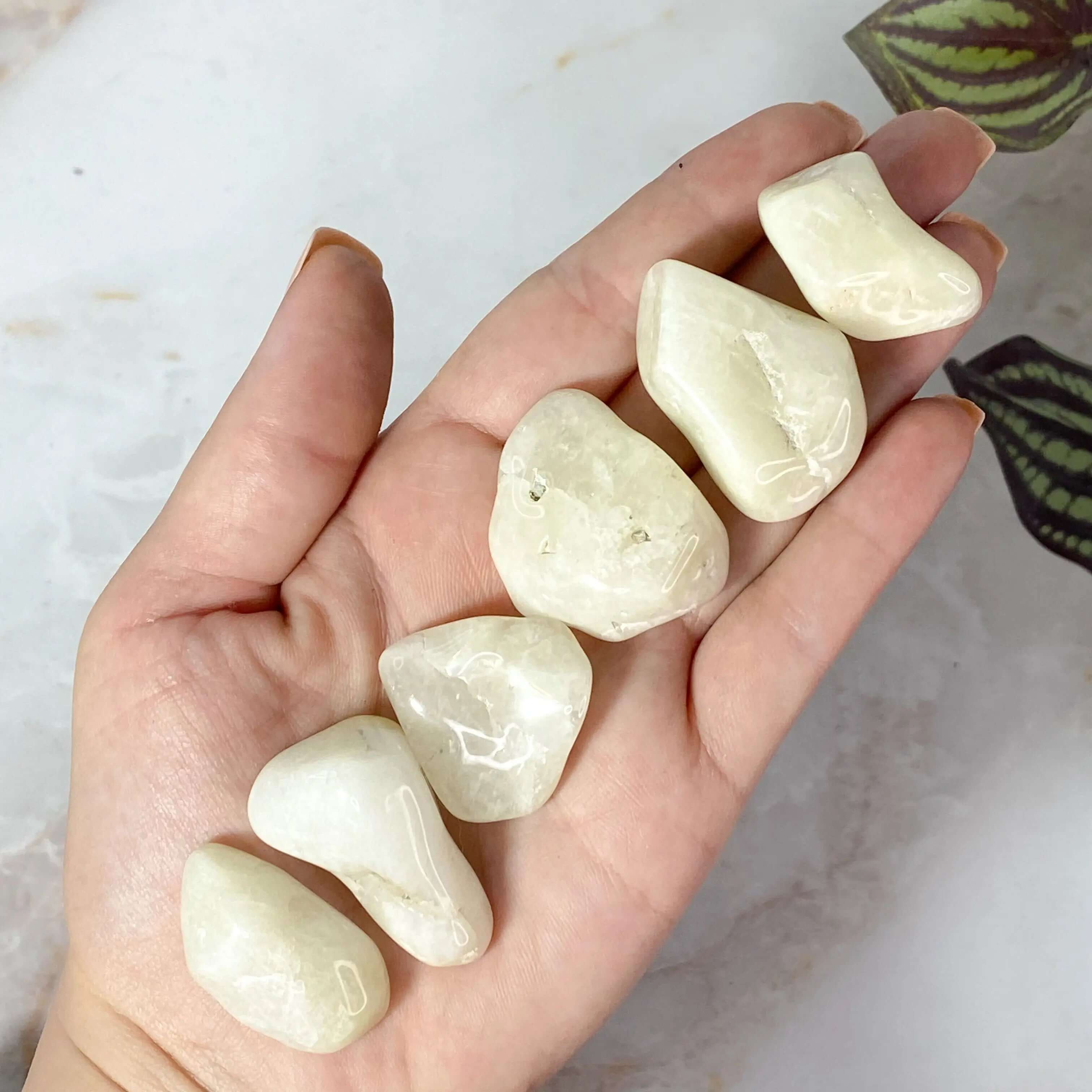Sulfur in QuartzTumbled Stones | Set of 2 Mooncat Crystals