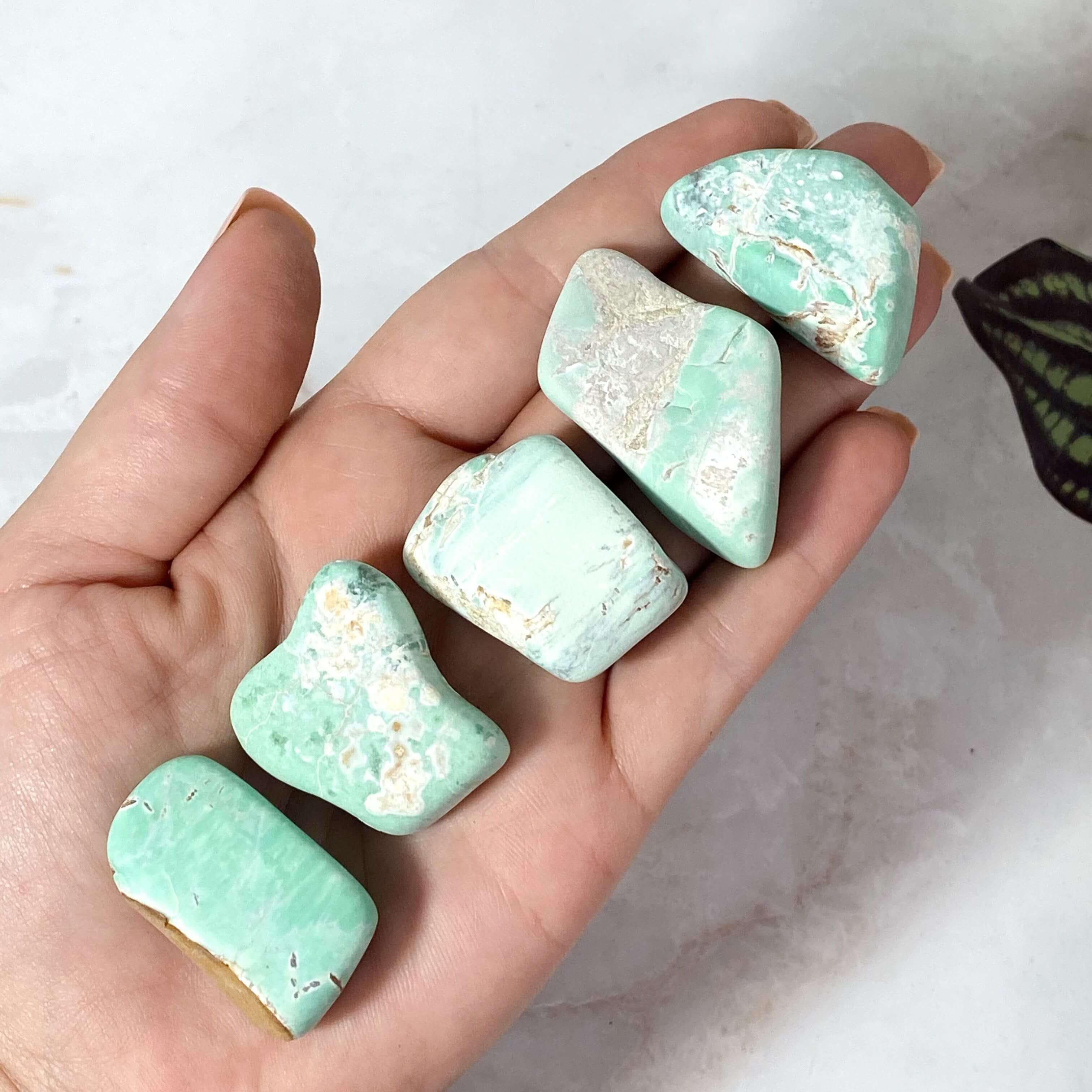 Variscite Tumbles | 1 Piece Mooncat Crystals