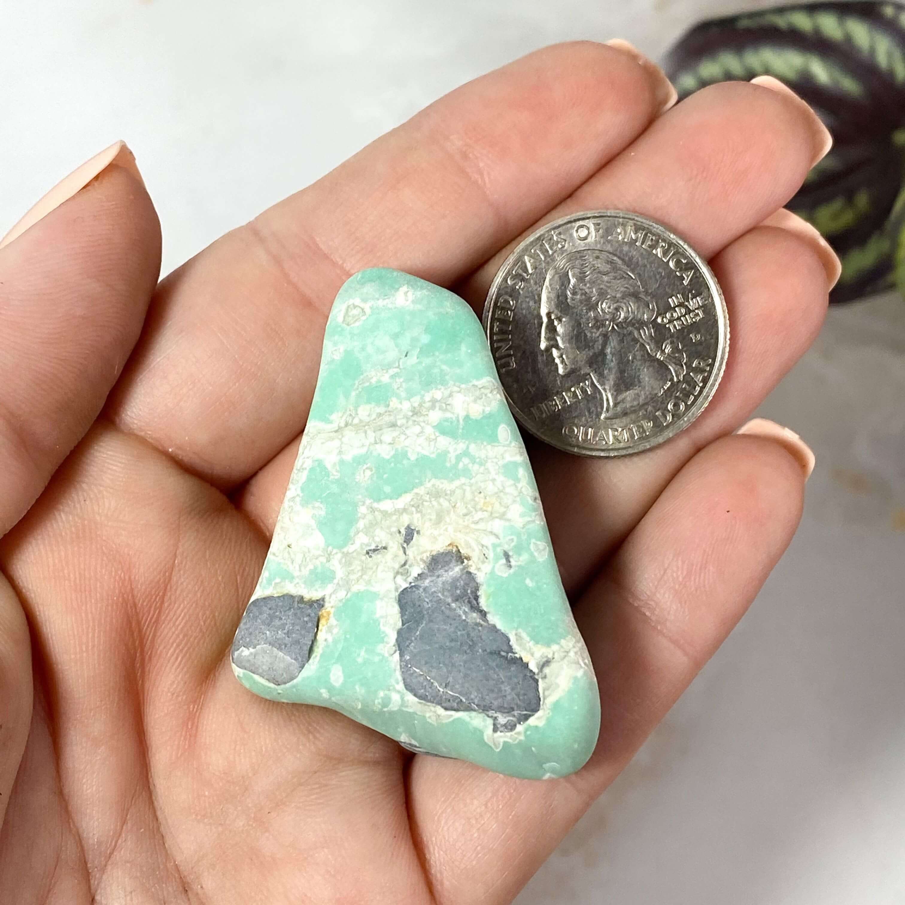 Variscite Tumbles | 1 Piece Mooncat Crystals