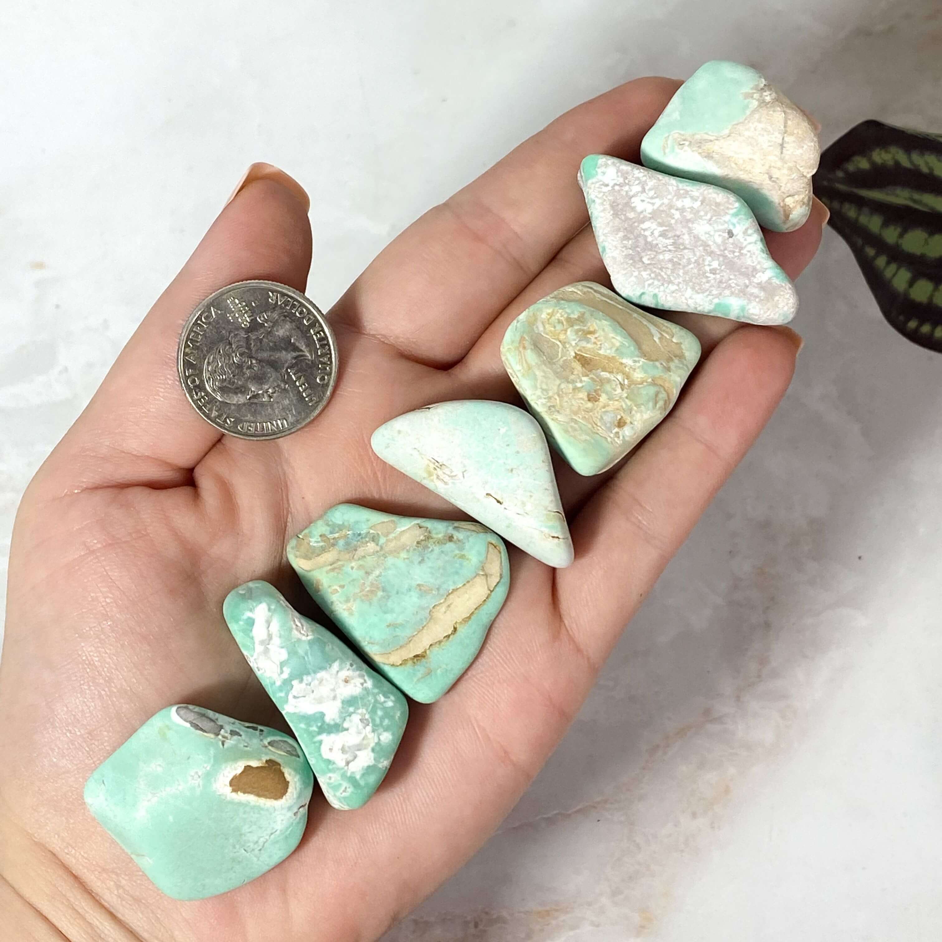 Variscite Tumbles | 1 Piece Mooncat Crystals