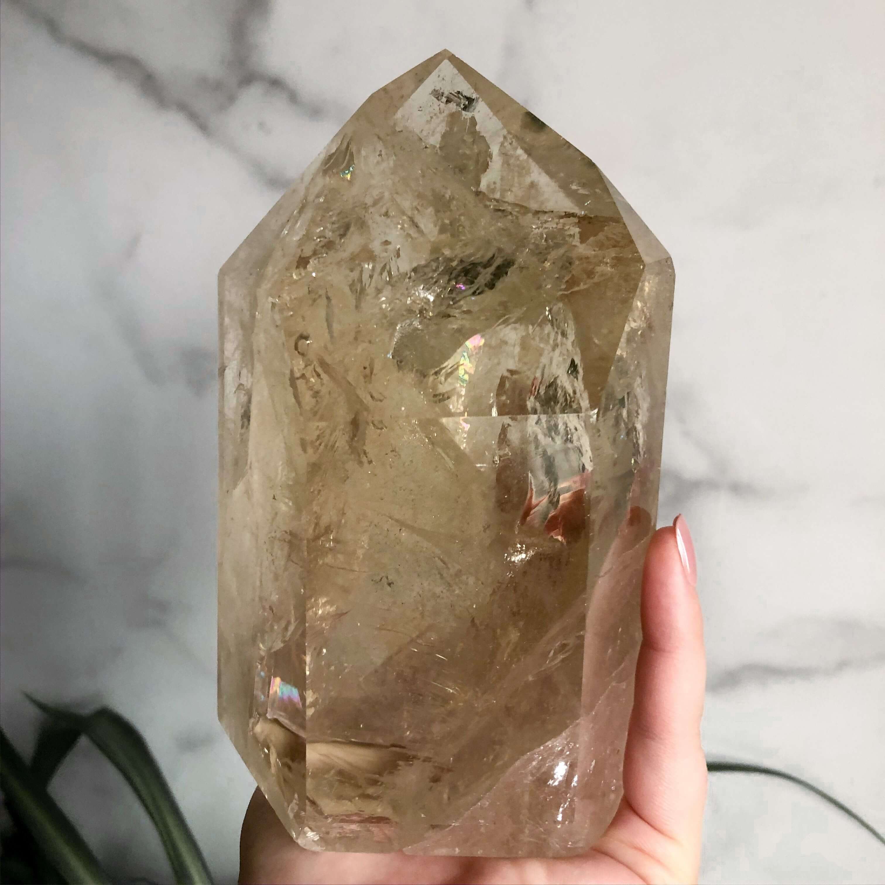 XL Natural Citrine Tower | Stock C Mooncat Crystals