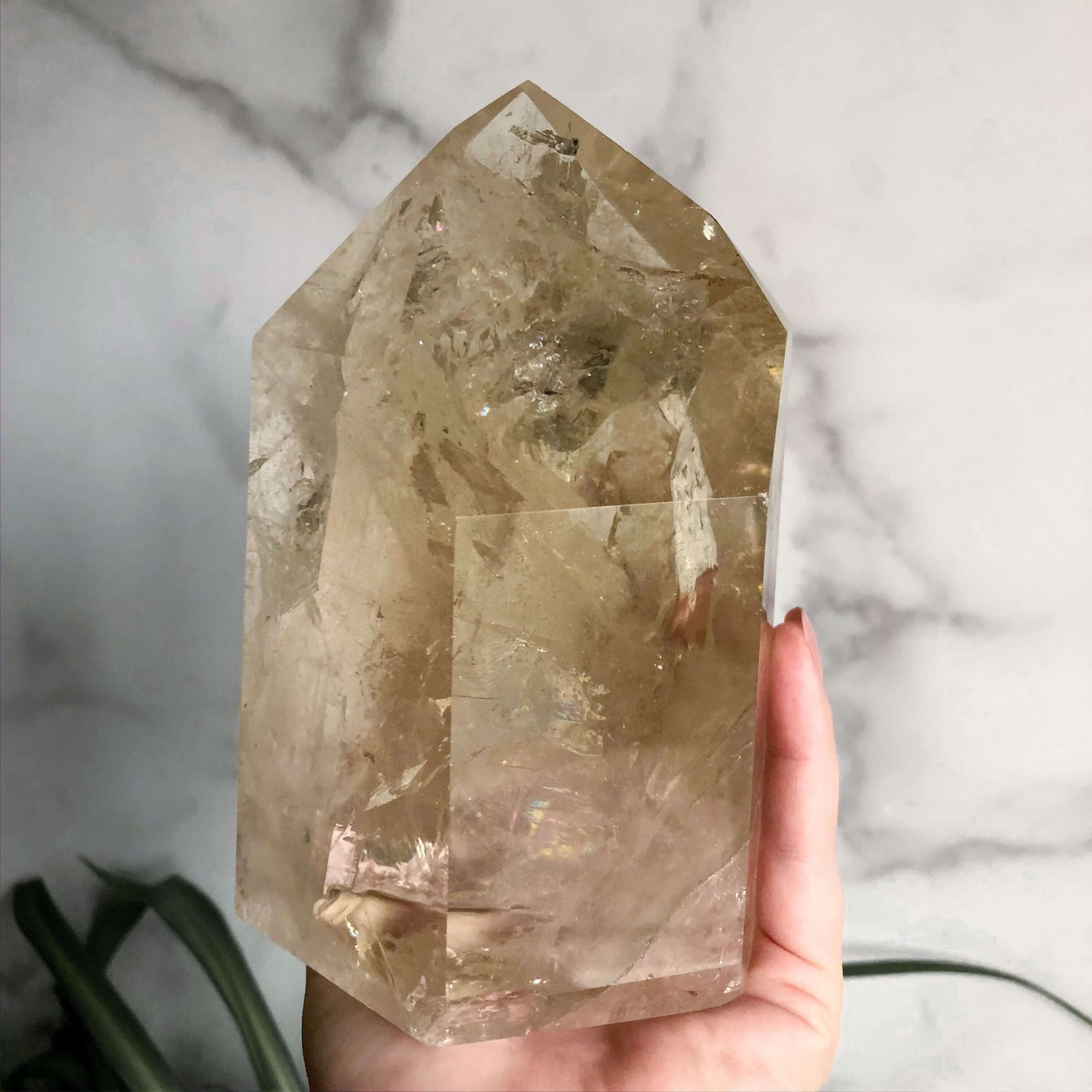XL Natural Citrine Tower | Stock C Mooncat Crystals