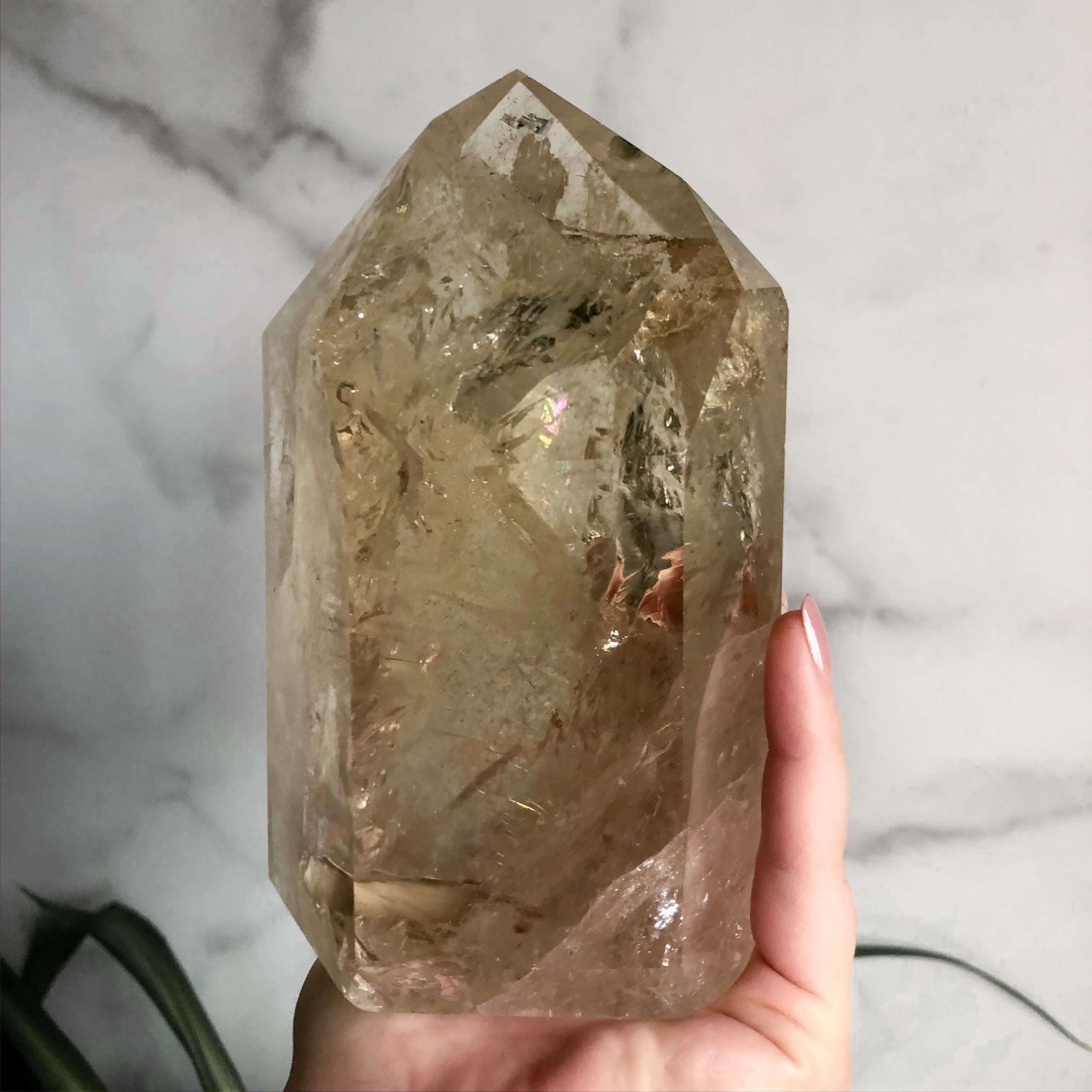 XL Natural Citrine Tower | Stock C Mooncat Crystals