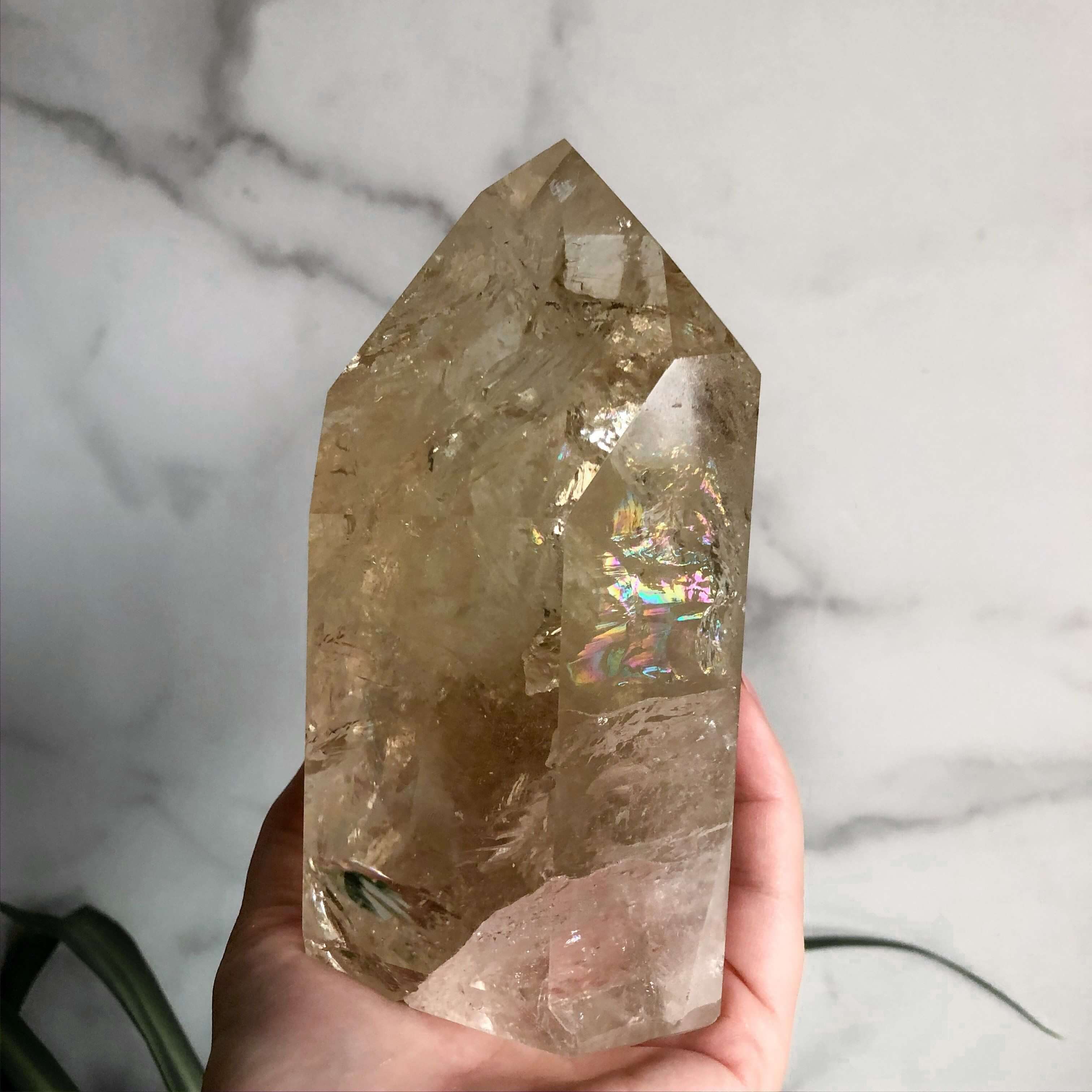XL Natural Citrine Tower | Stock C Mooncat Crystals