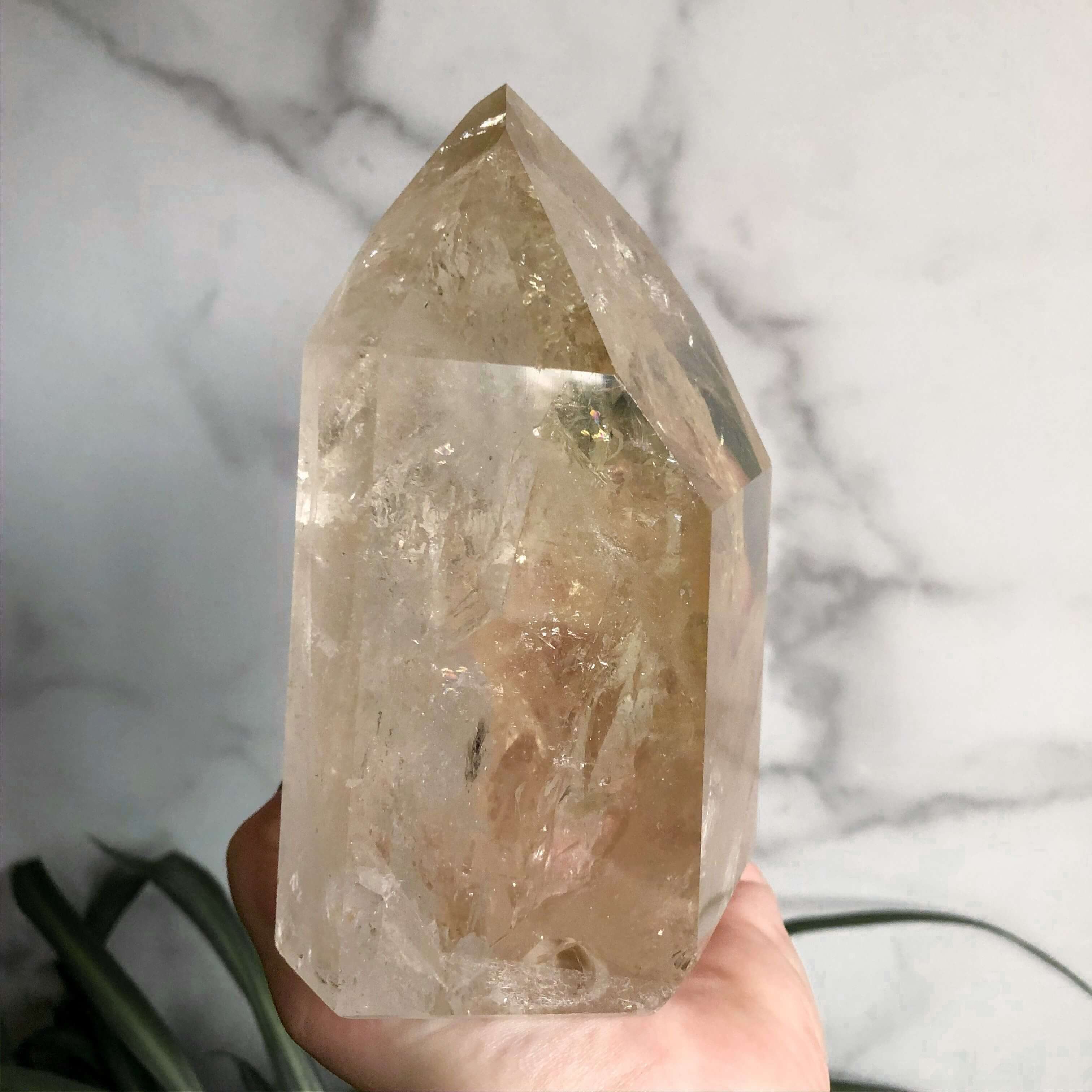 XL Natural Citrine Tower | Stock C Mooncat Crystals