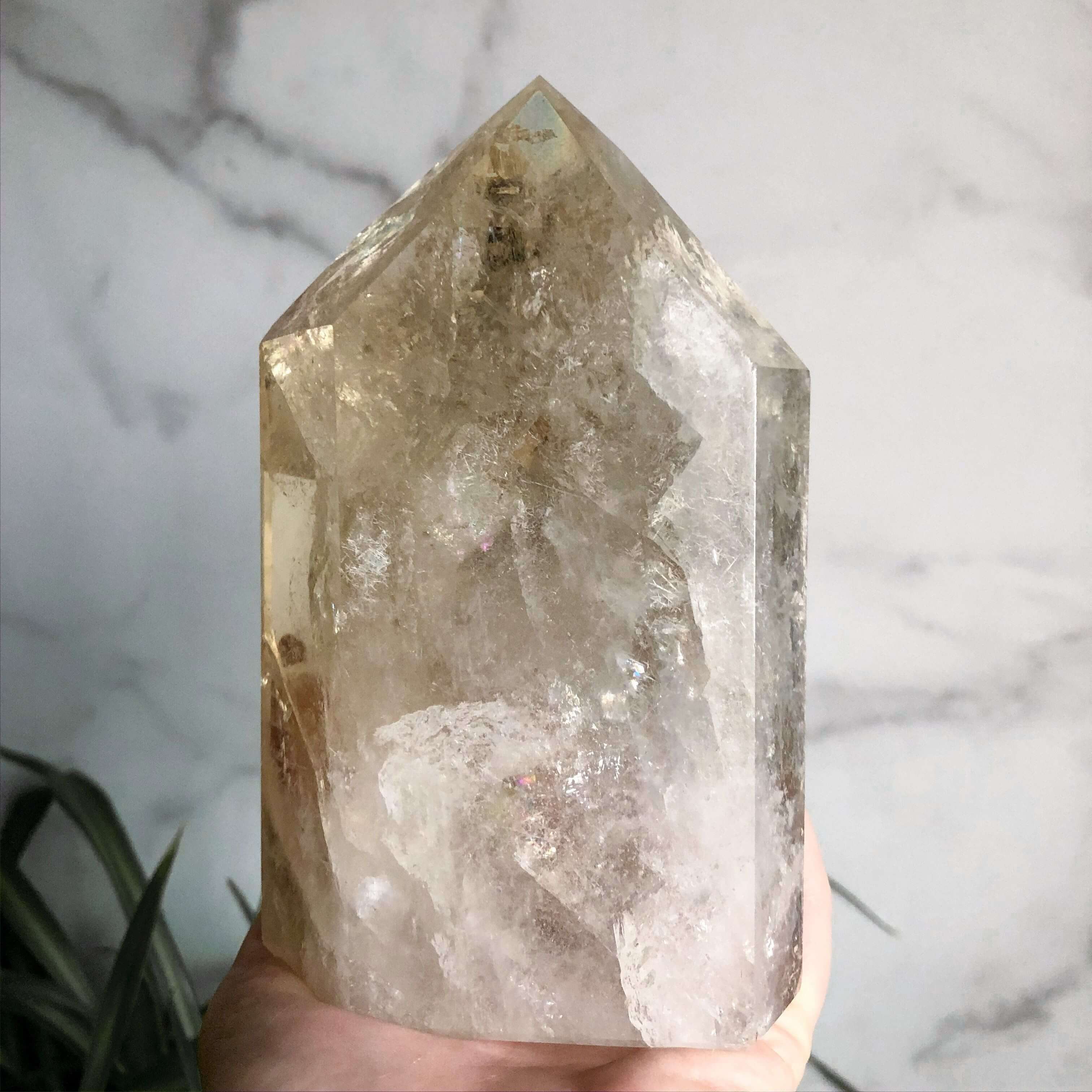 XL Natural Citrine Tower | Stock C Mooncat Crystals
