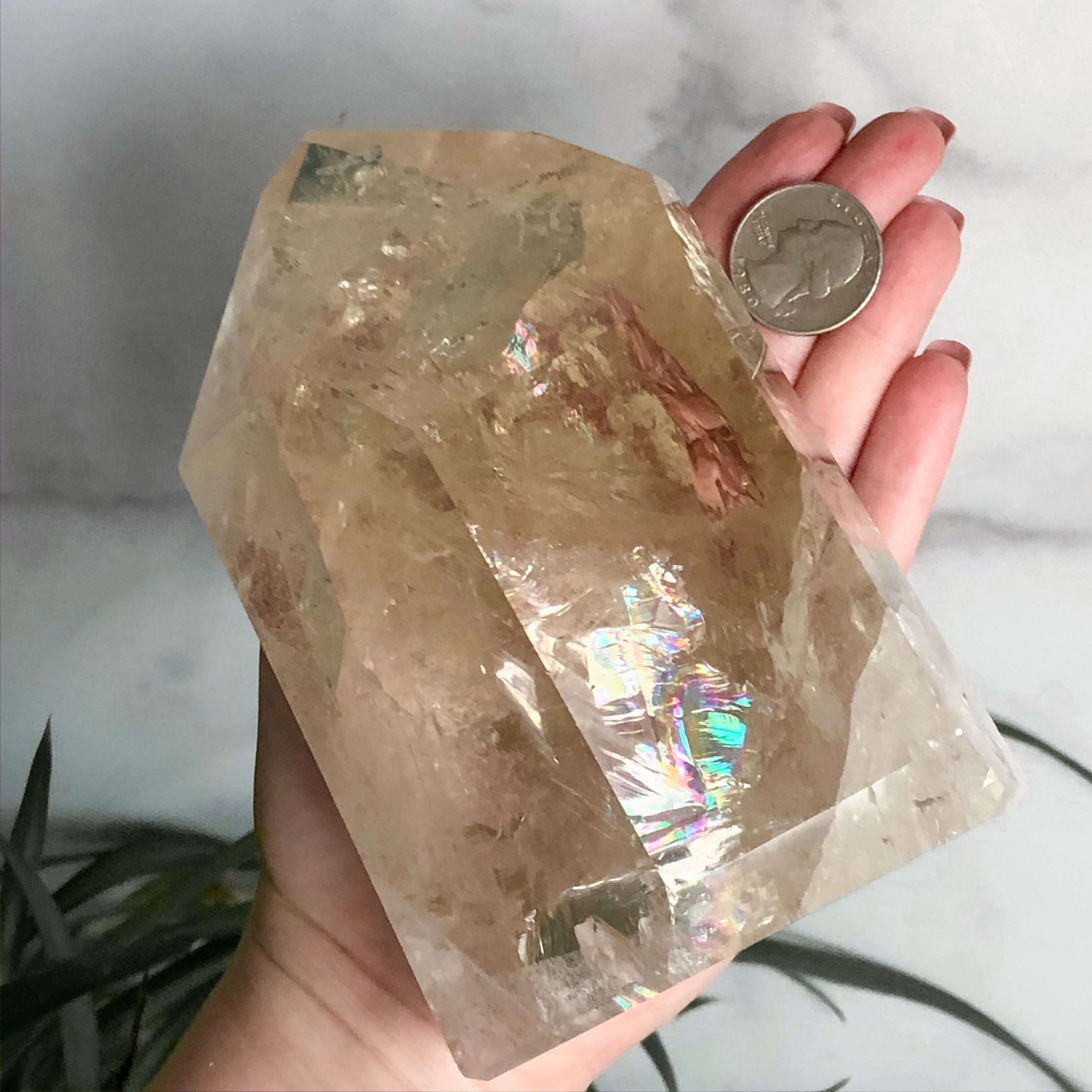 XL Natural Citrine Tower | Stock C Mooncat Crystals