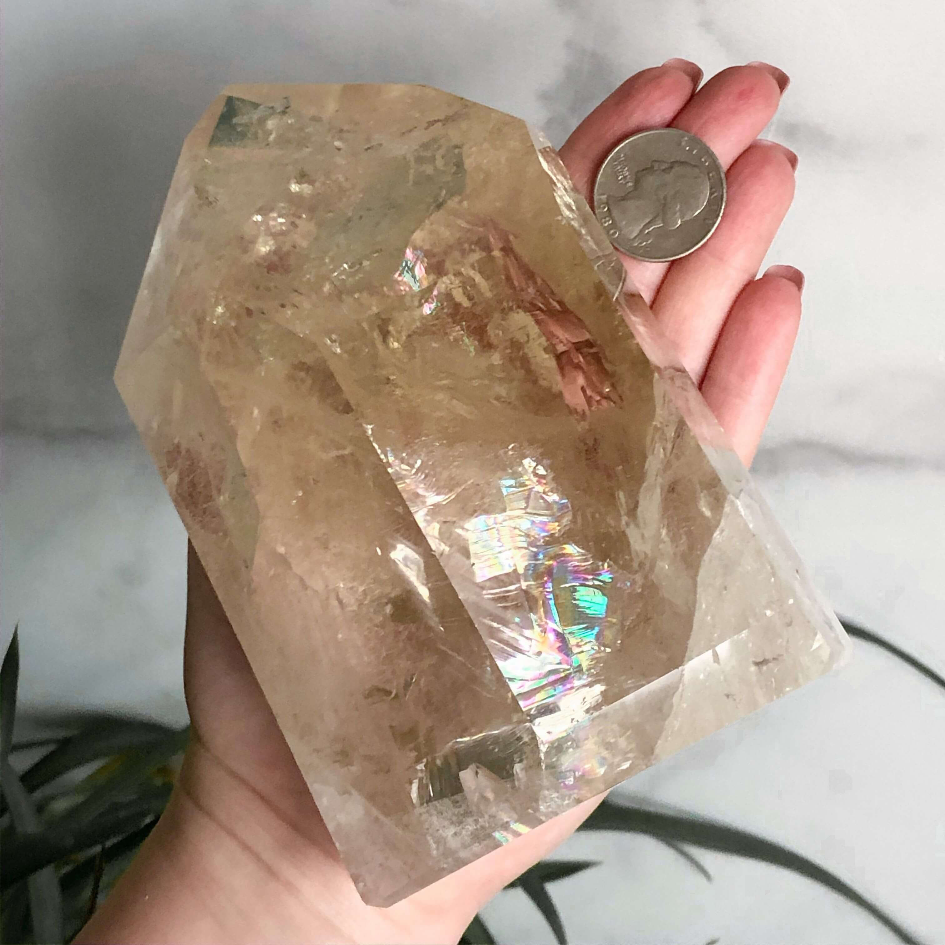 XL Natural Citrine Tower | Stock C Mooncat Crystals