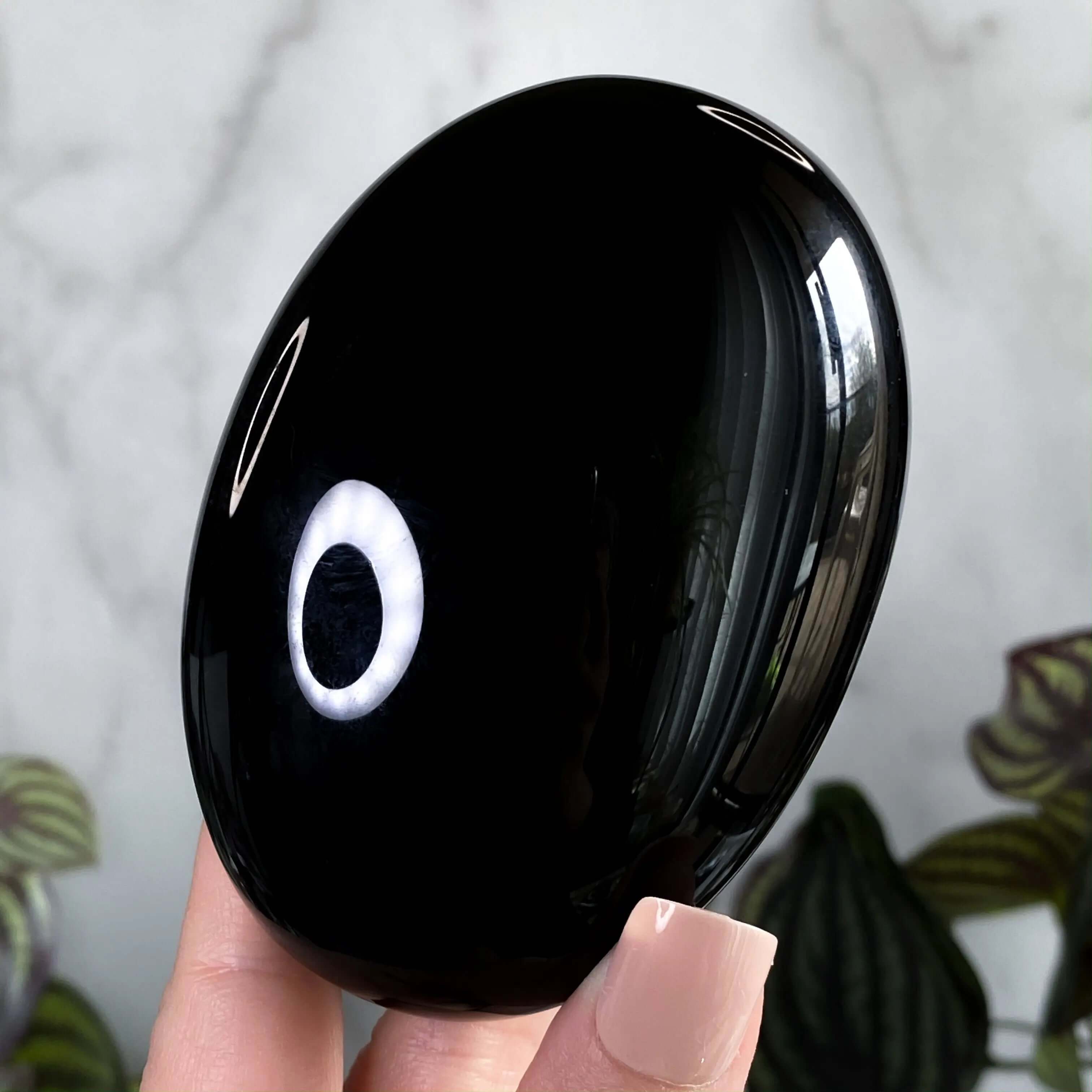 XL Obsidian Palm Stone Mooncat Crystals