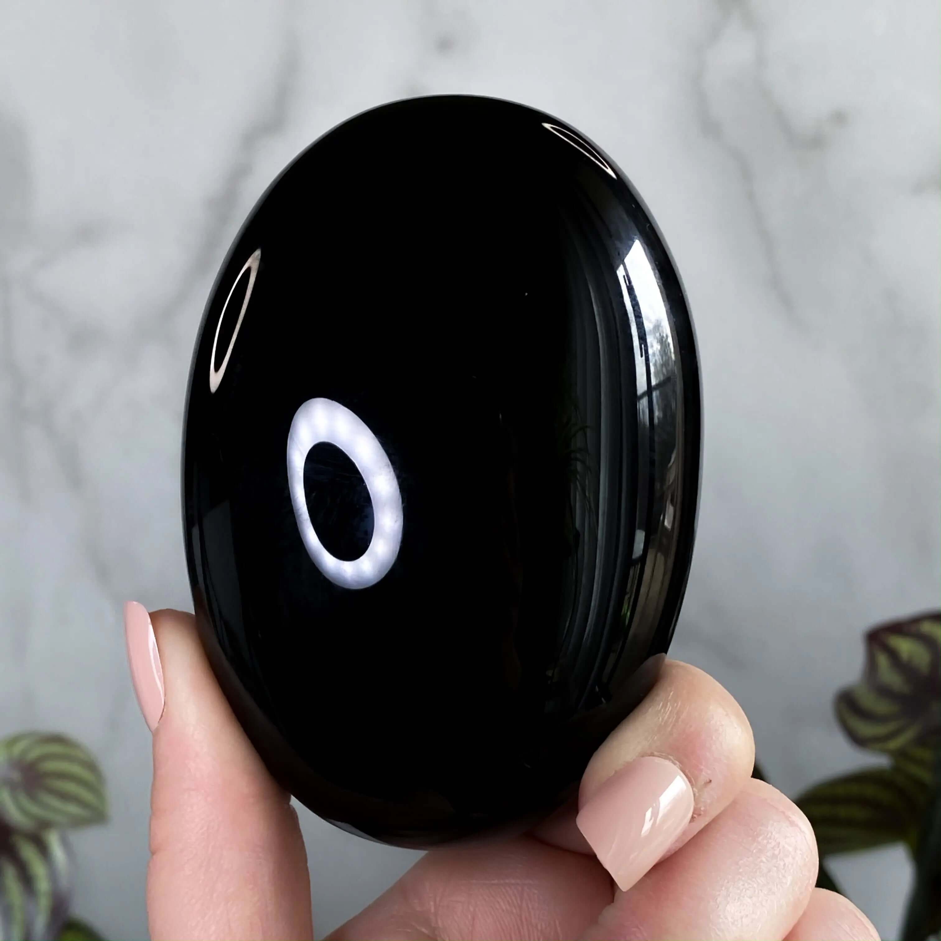 XL Obsidian Palm Stone Mooncat Crystals