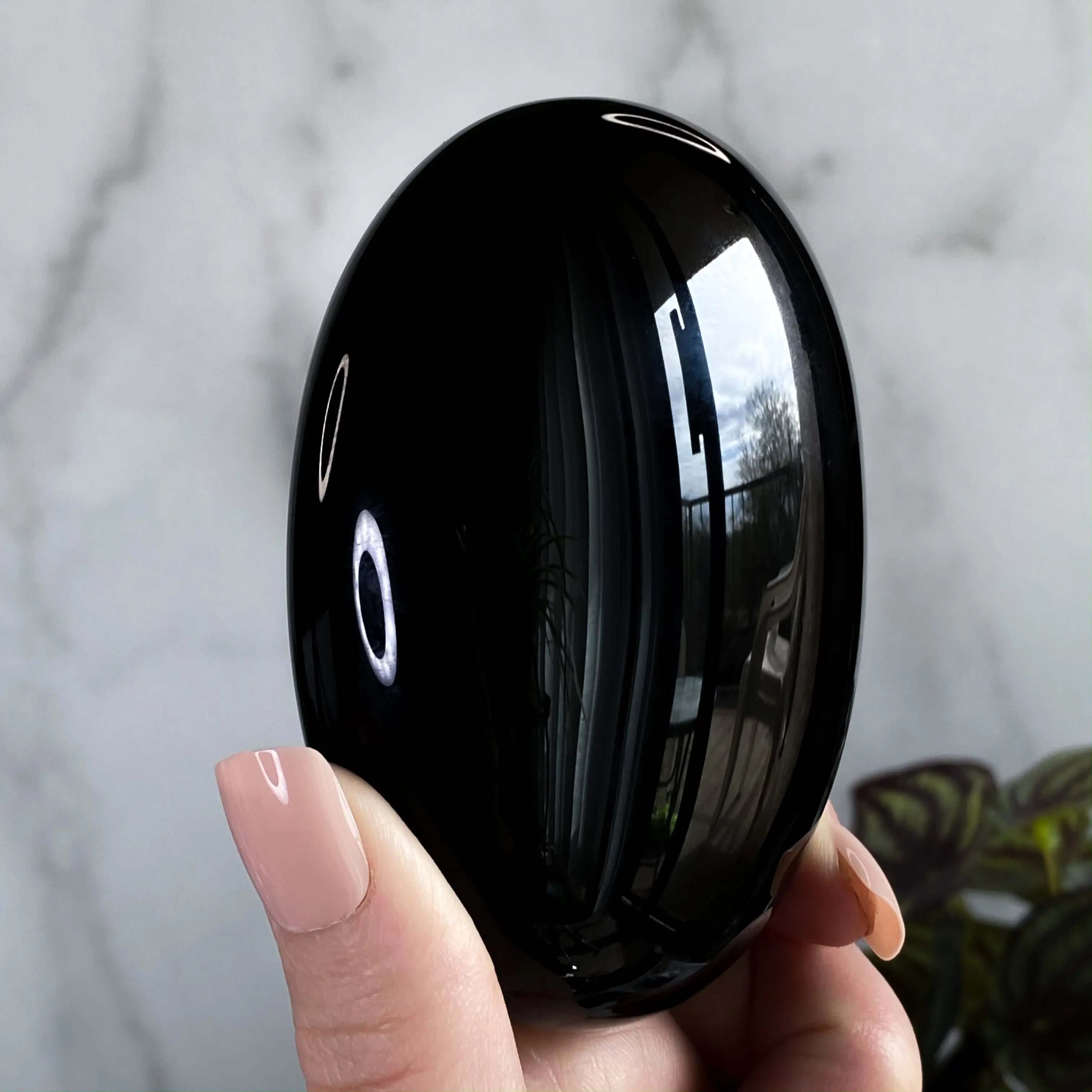 XL Obsidian Palm Stone Mooncat Crystals