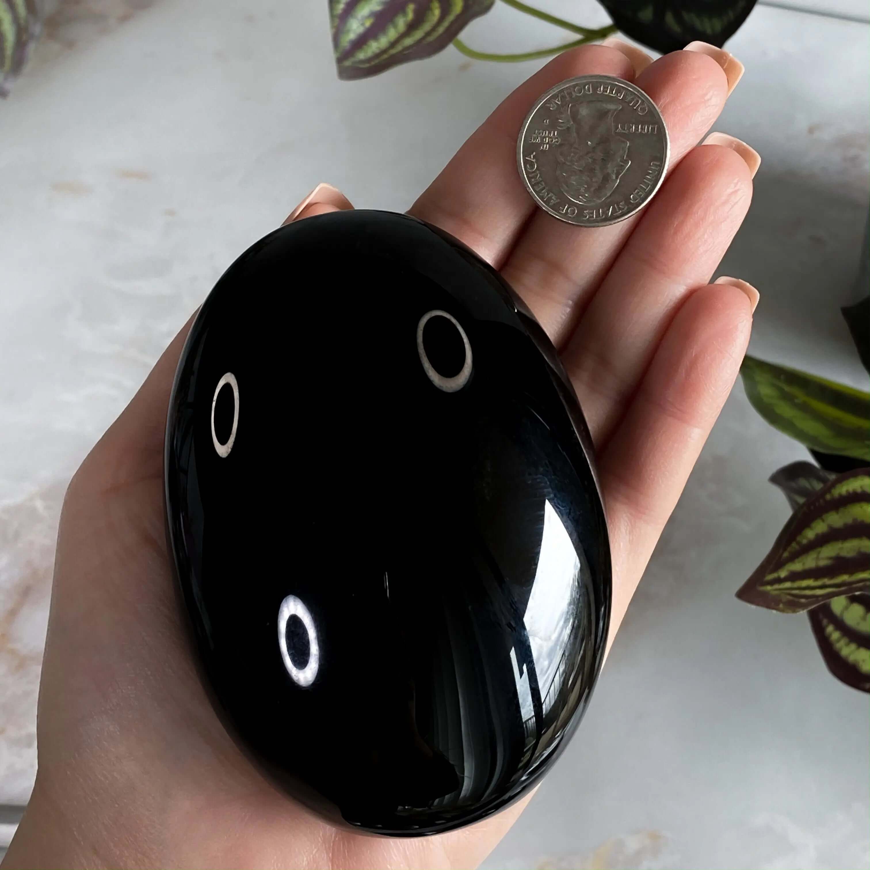XL Obsidian Palm Stone Mooncat Crystals