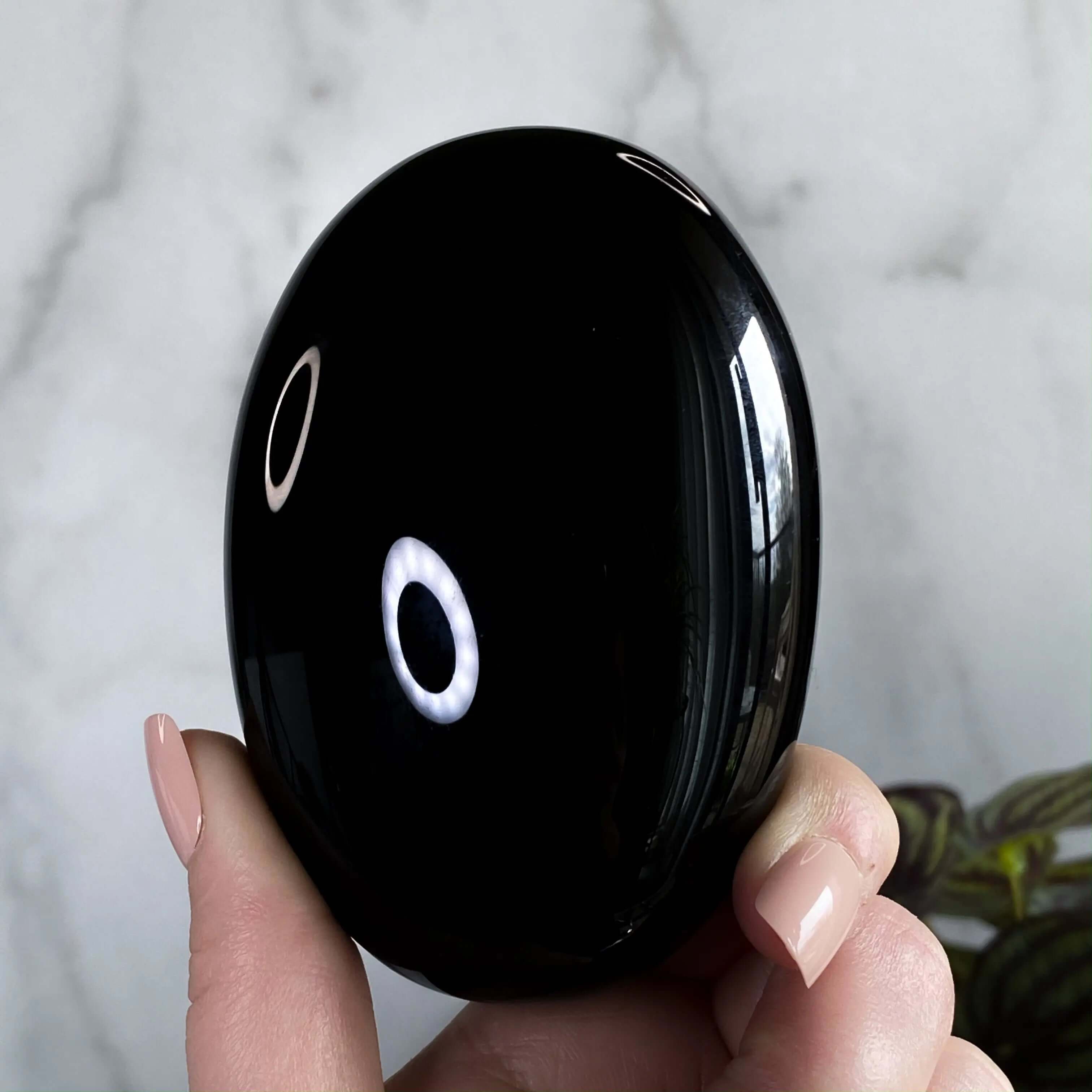 XL Obsidian Palm Stone Mooncat Crystals