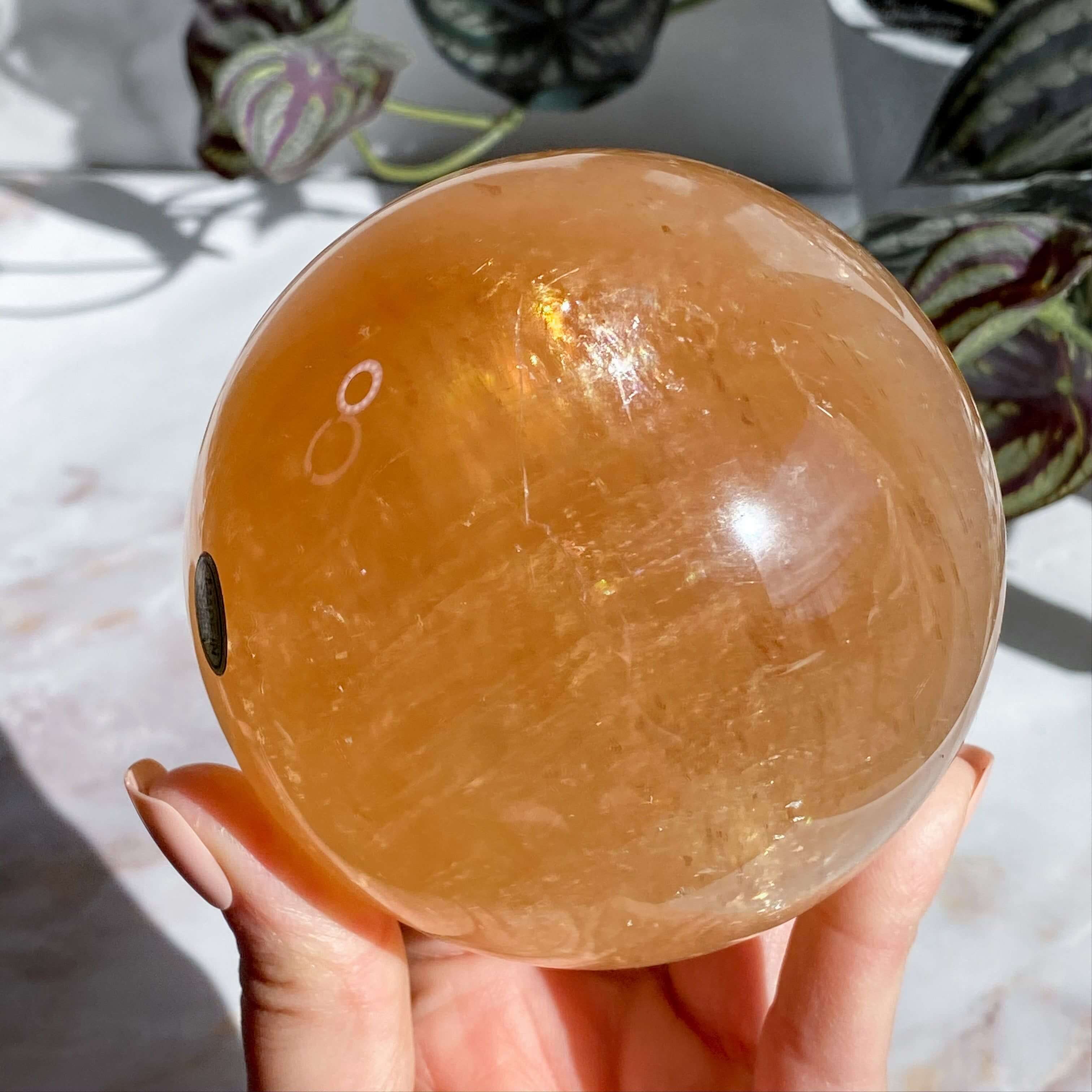 XL Rainbow Filled Honey Calcite Sphere | Stock A Mooncat Crystals