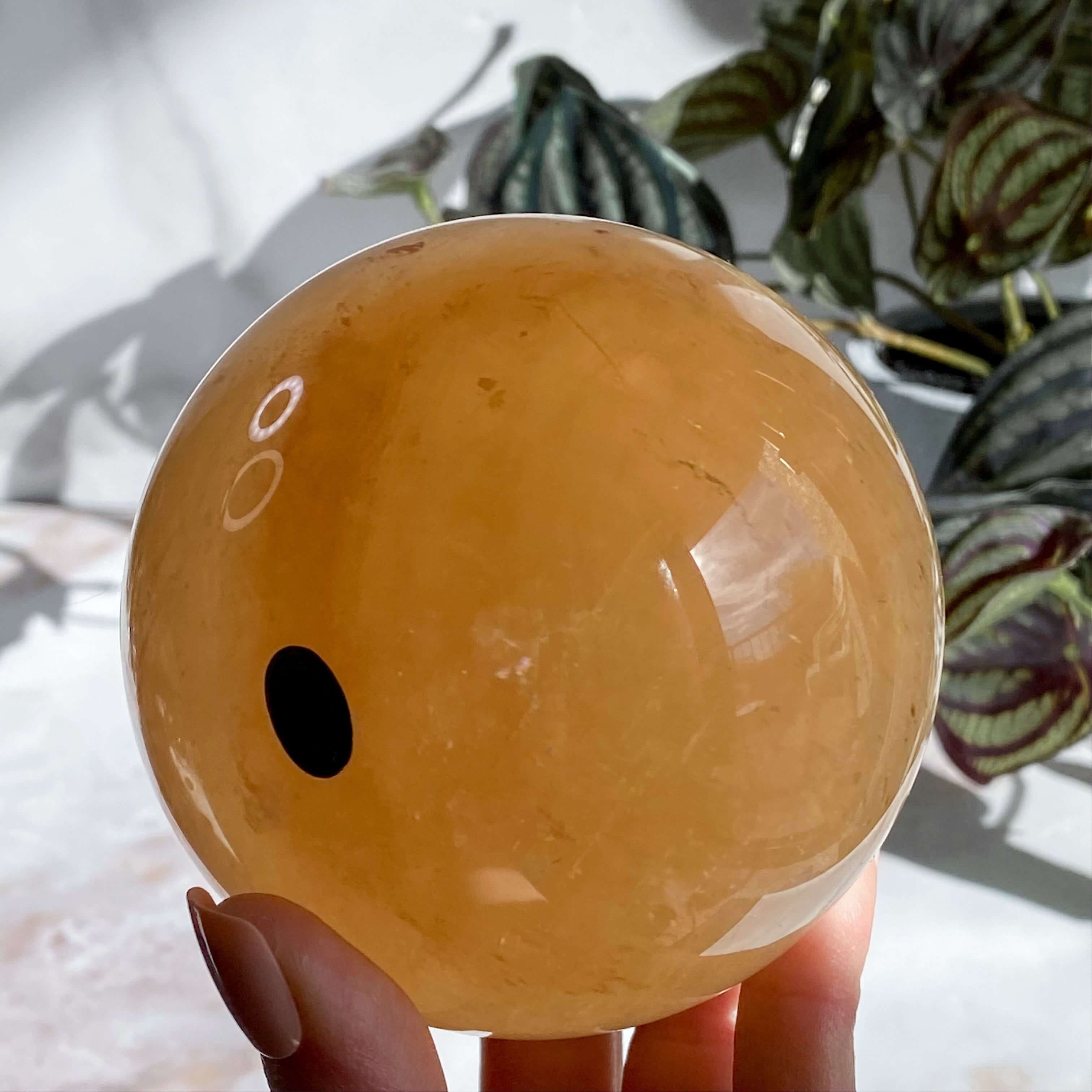 XL Rainbow Filled Honey Calcite Sphere | Stock A Mooncat Crystals