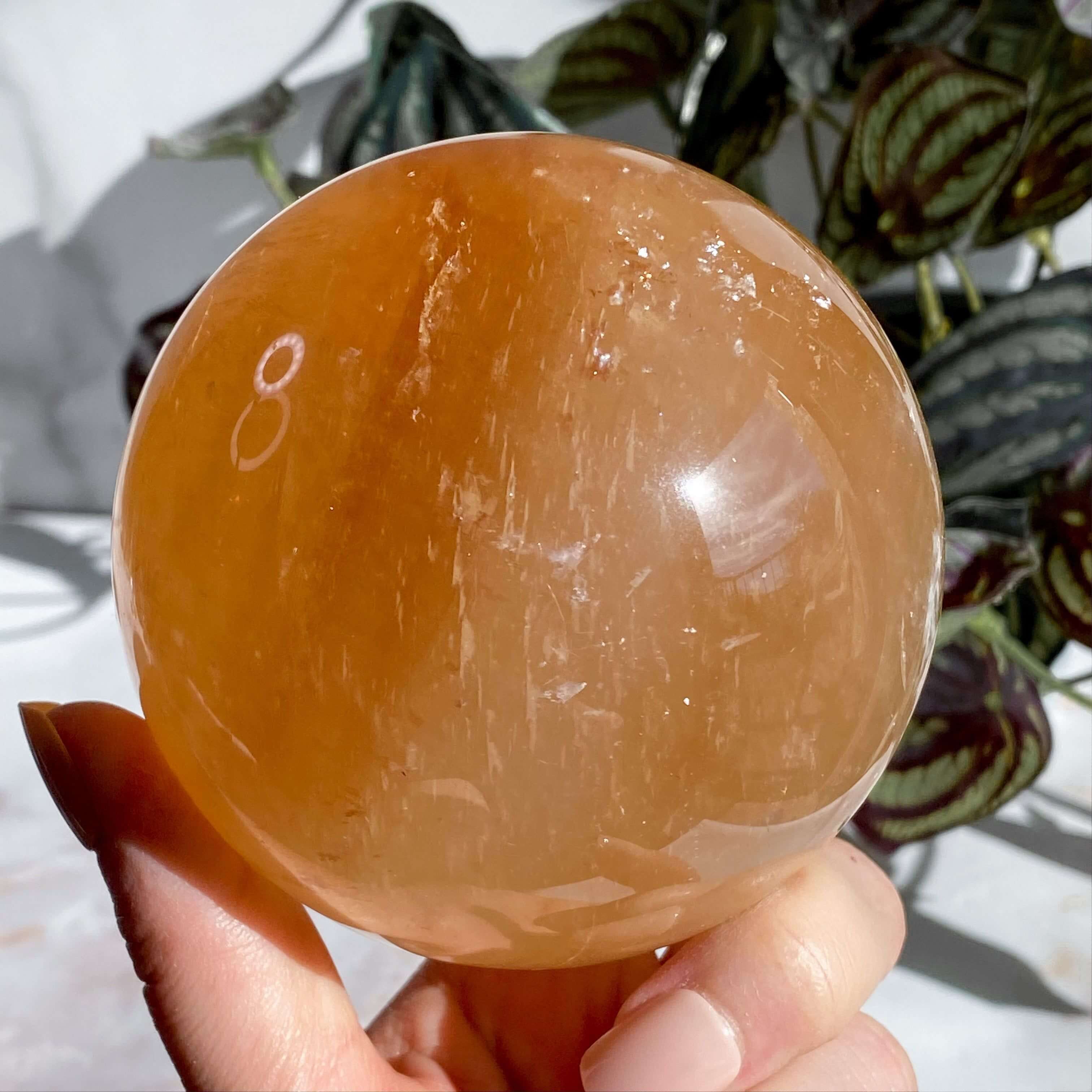 XL Rainbow Filled Honey Calcite Sphere | Stock A Mooncat Crystals