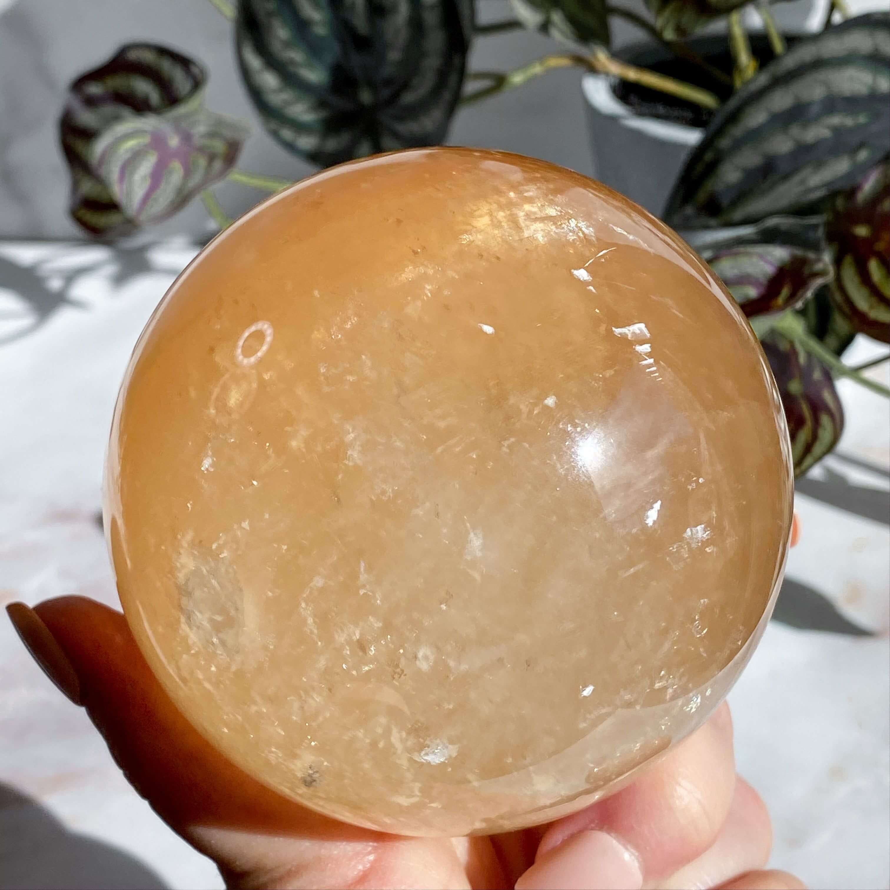 XL Rainbow Filled Honey Calcite Sphere | Stock A Mooncat Crystals
