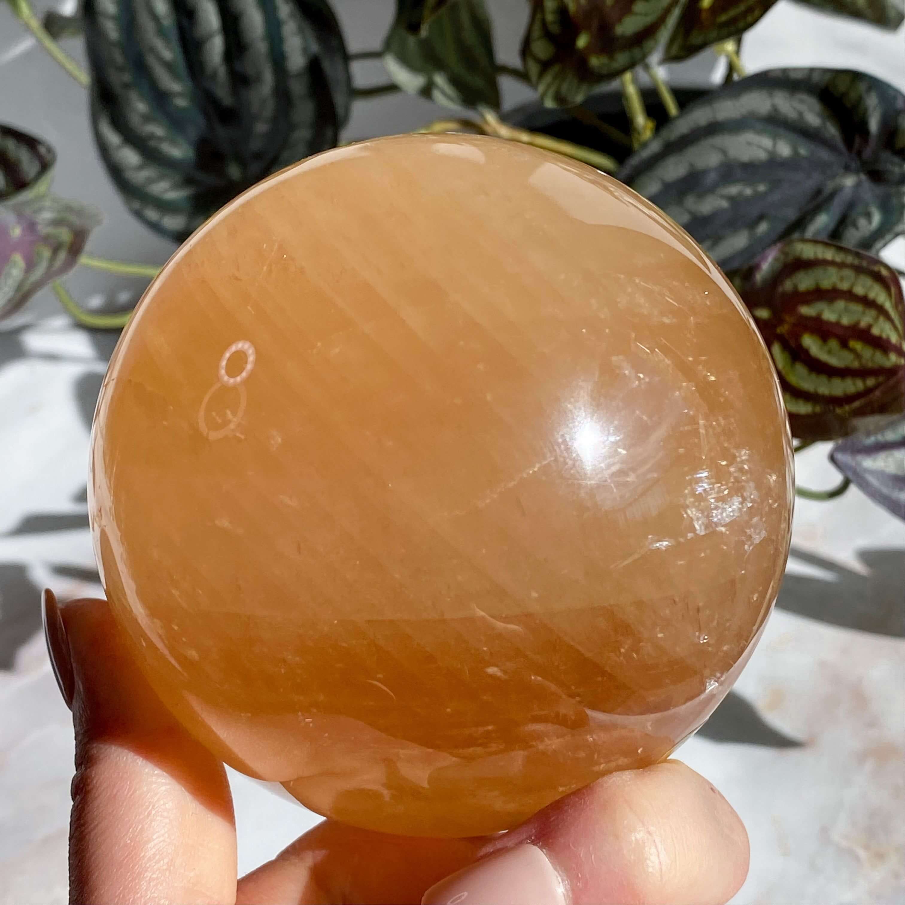 XL Rainbow Filled Honey Calcite Sphere | Stock A Mooncat Crystals
