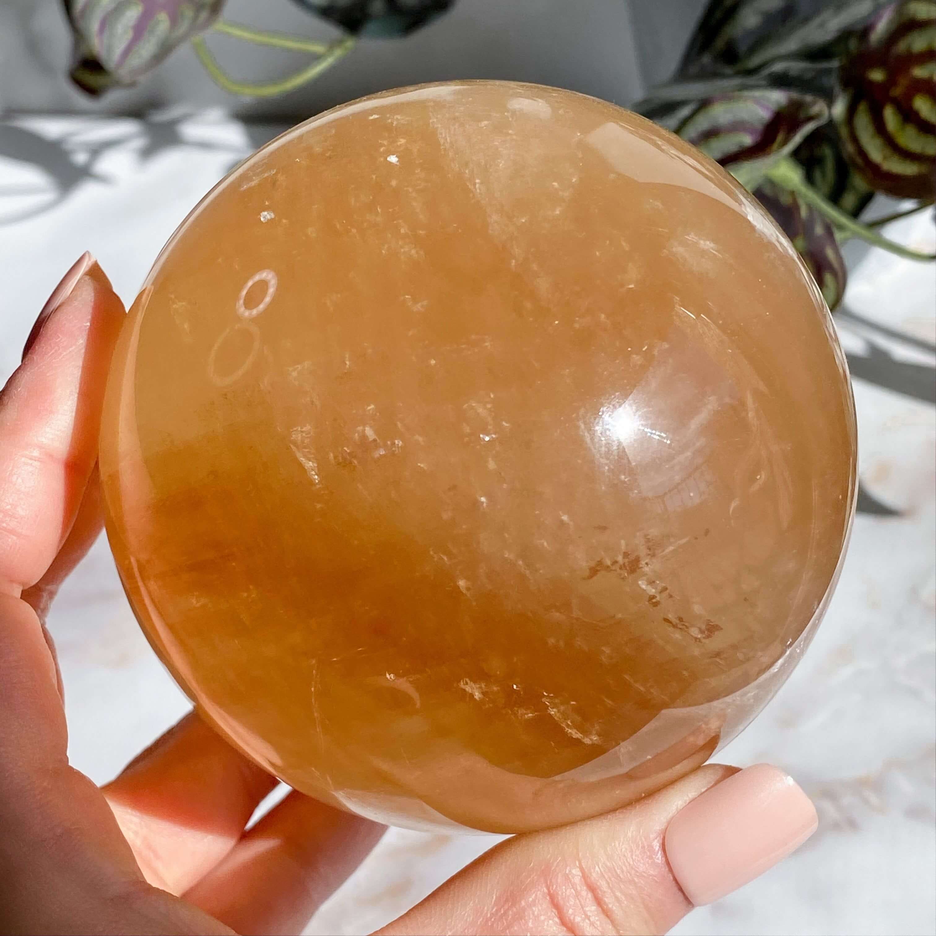 XL Rainbow Filled Honey Calcite Sphere | Stock A Mooncat Crystals