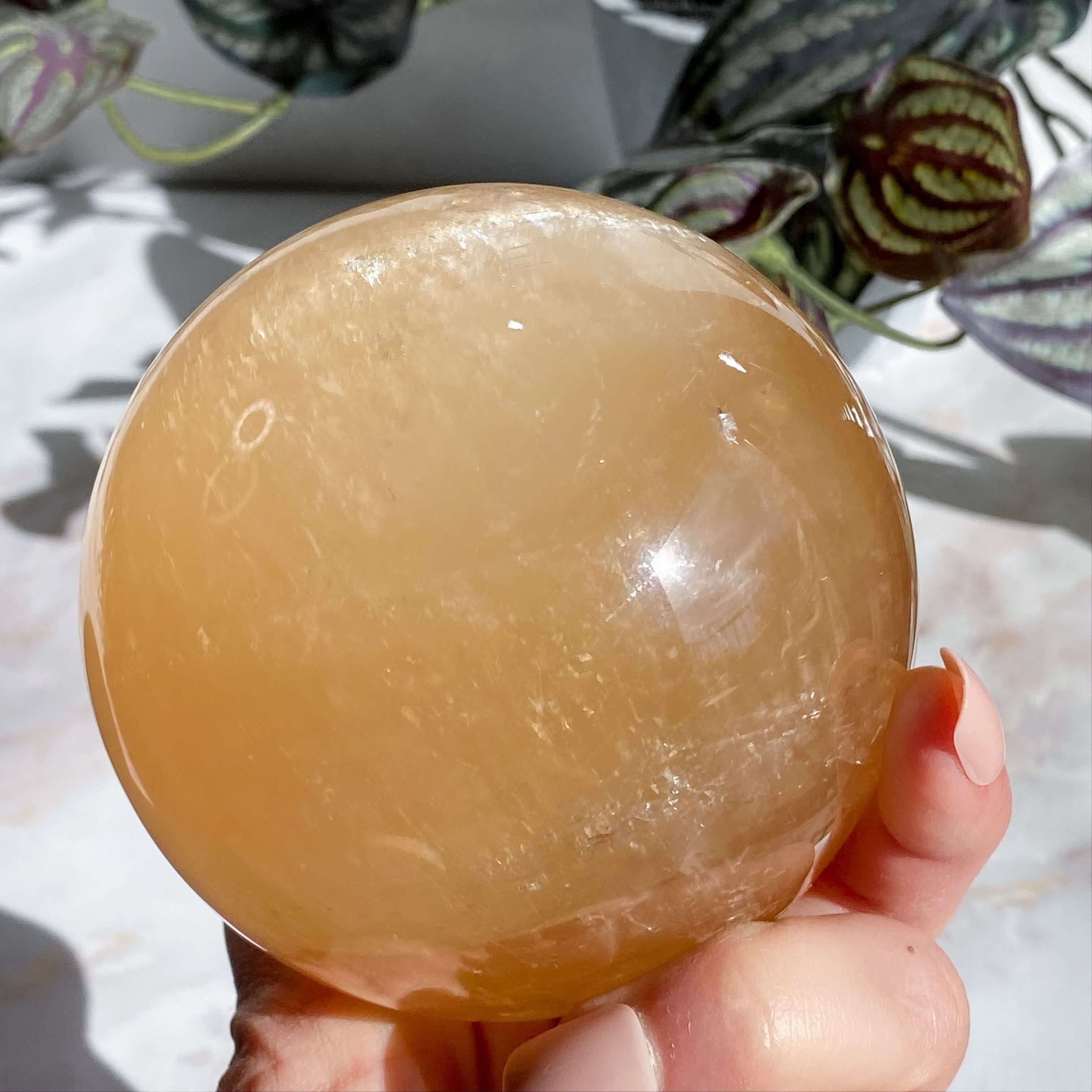 XL Rainbow Filled Honey Calcite Sphere | Stock A Mooncat Crystals