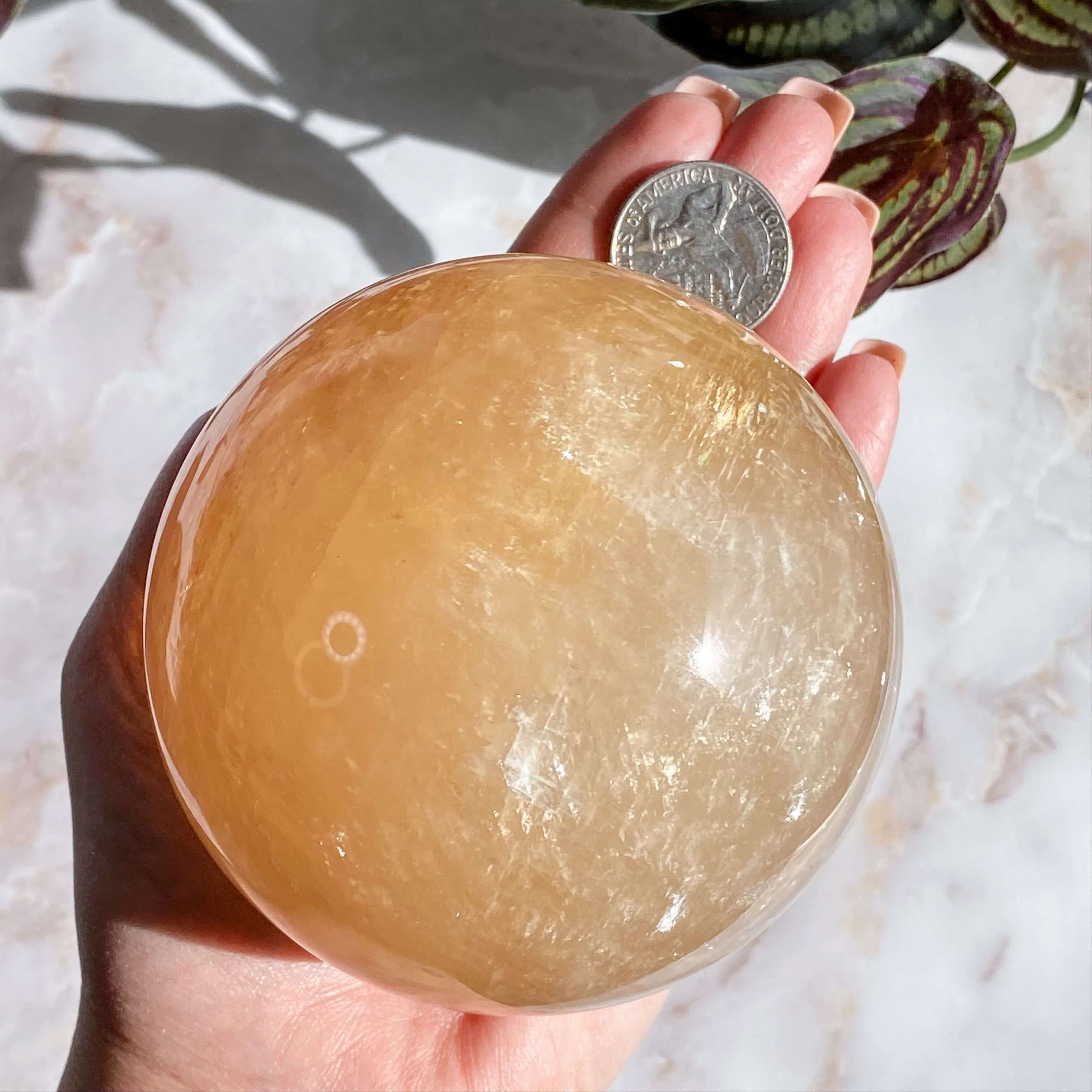 XL Rainbow Filled Honey Calcite Sphere | Stock A Mooncat Crystals