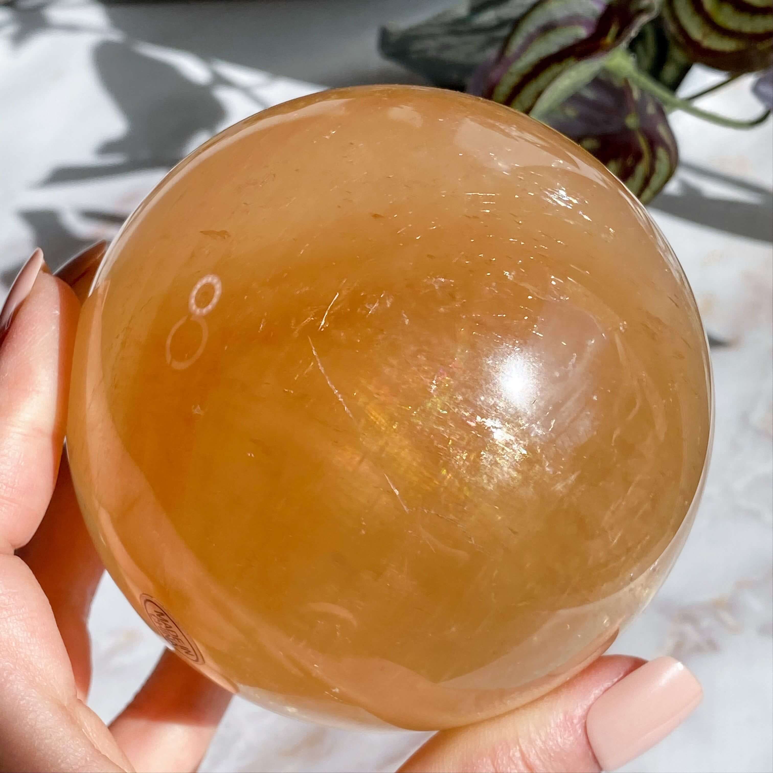 XL Rainbow Filled Honey Calcite Sphere | Stock A Mooncat Crystals