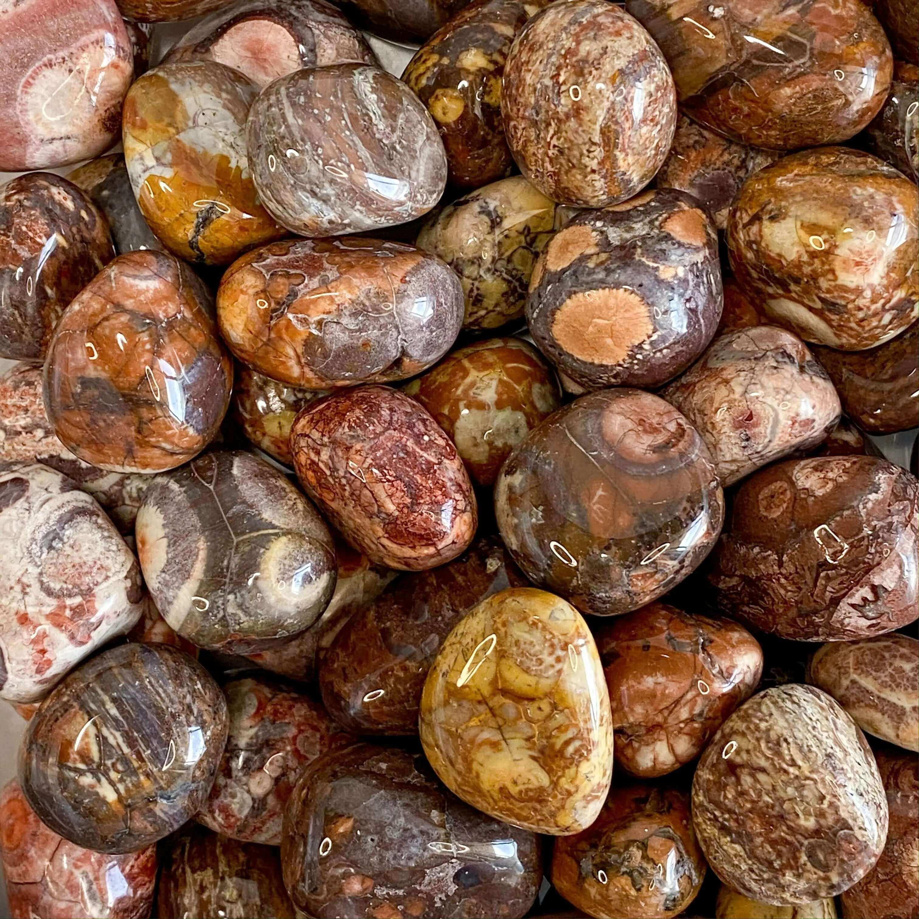 Bird’s Eye Rhyolite Tumbles - Mooncat Crystals