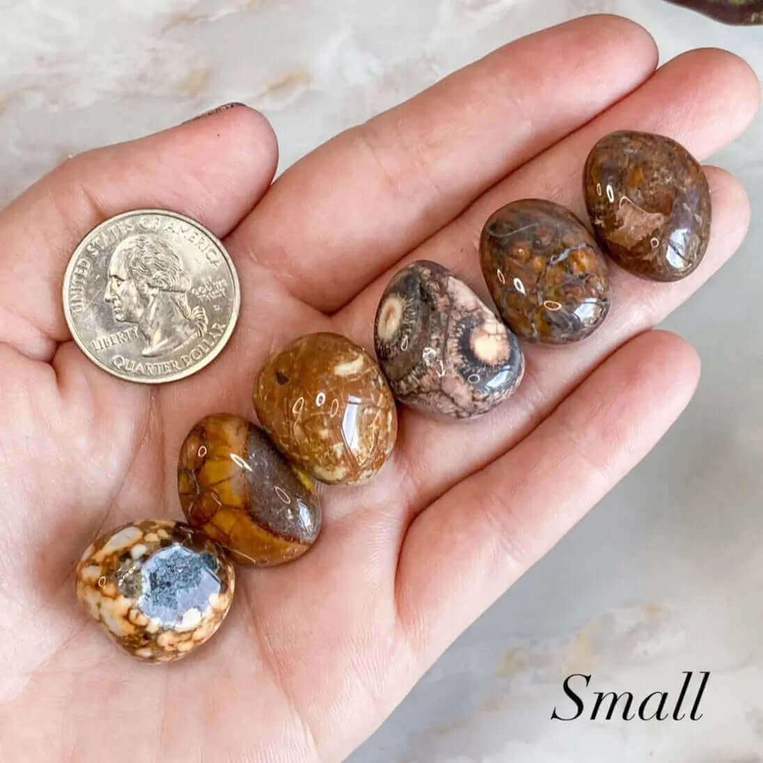 Bird’s Eye Rhyolite Tumbles - Mooncat Crystals