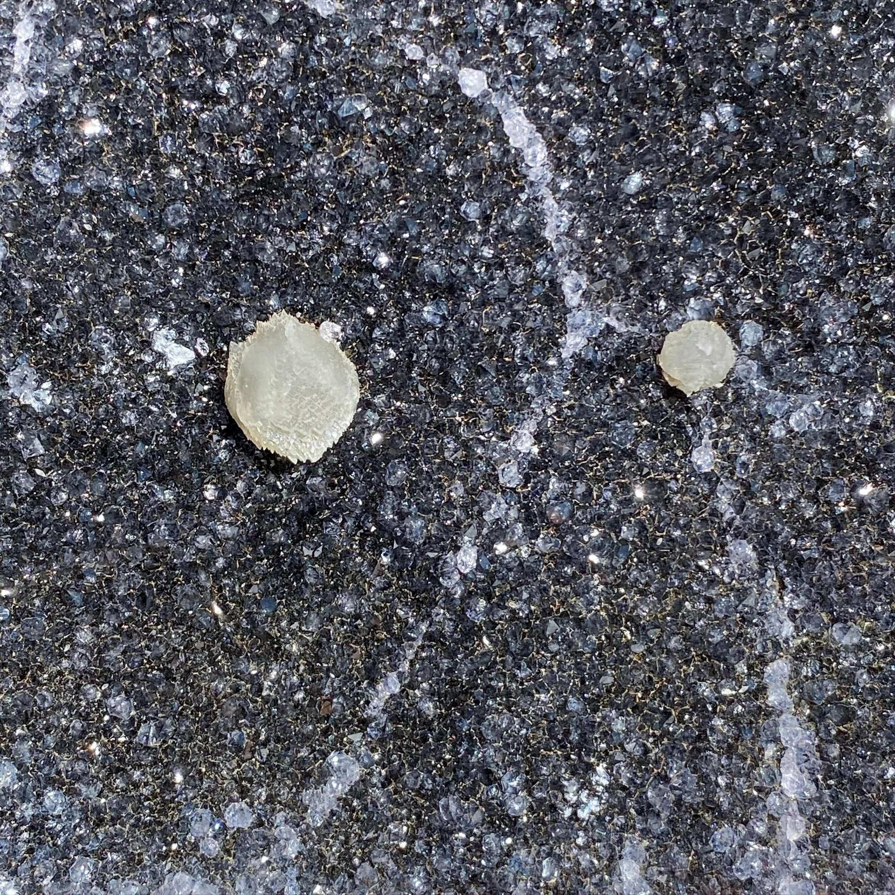 Black Amethyst | Stock K - Mooncat Crystals